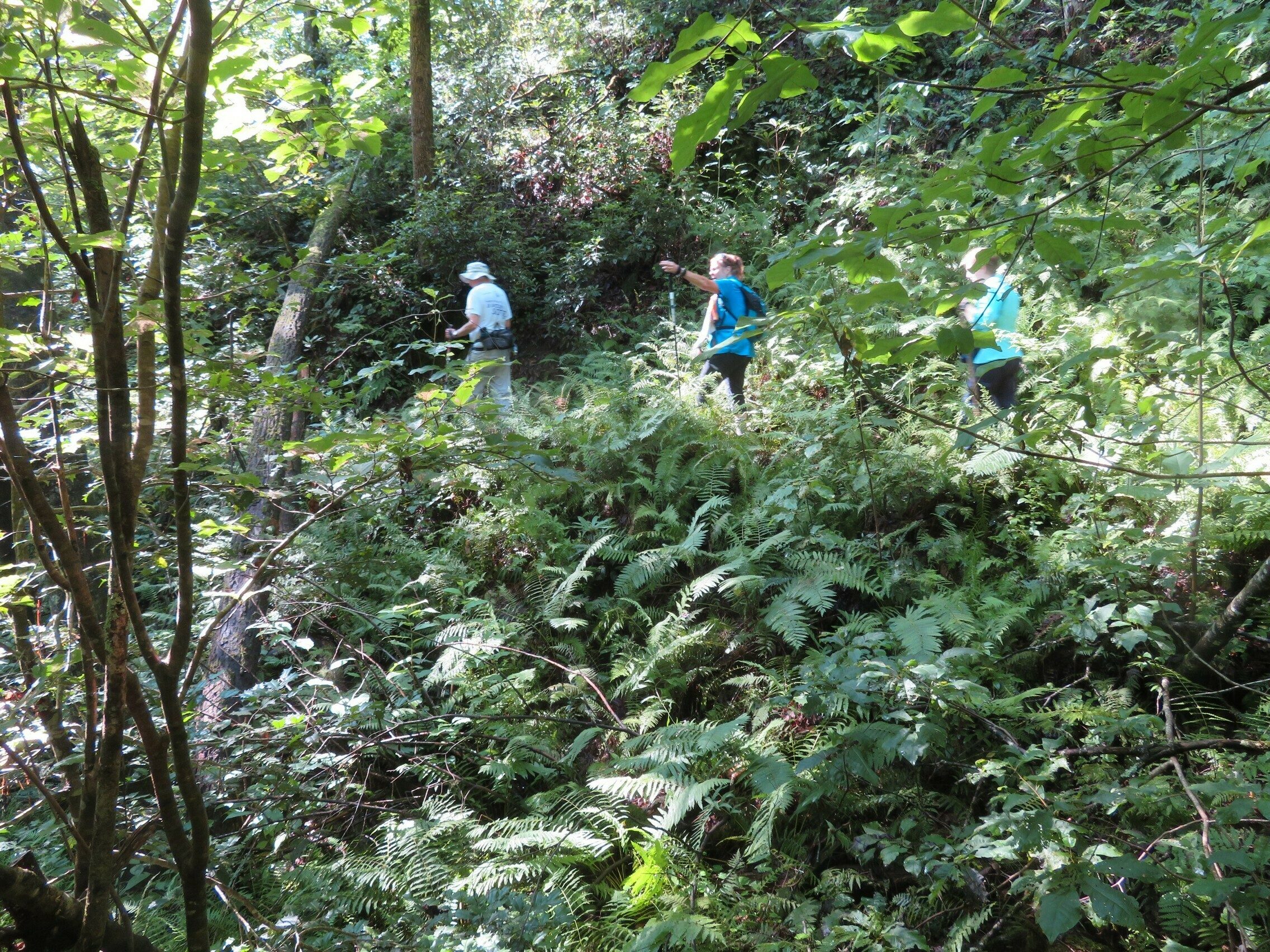 Now that's something you don't too often anymore . . . Dick leading the hike.   Way to go!