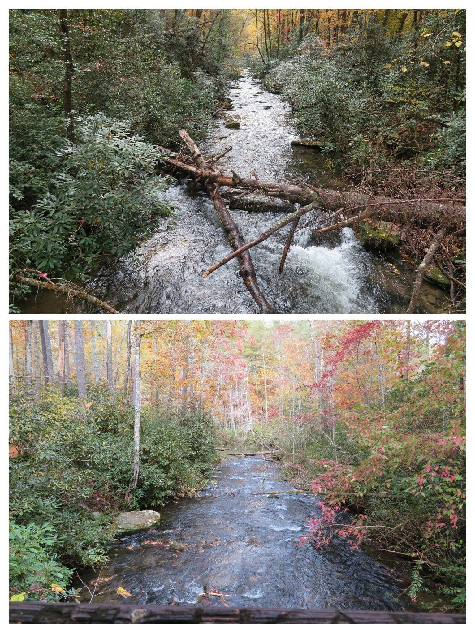 Scenes up and down the East Fork of the Chattooga Rive from the bridge.