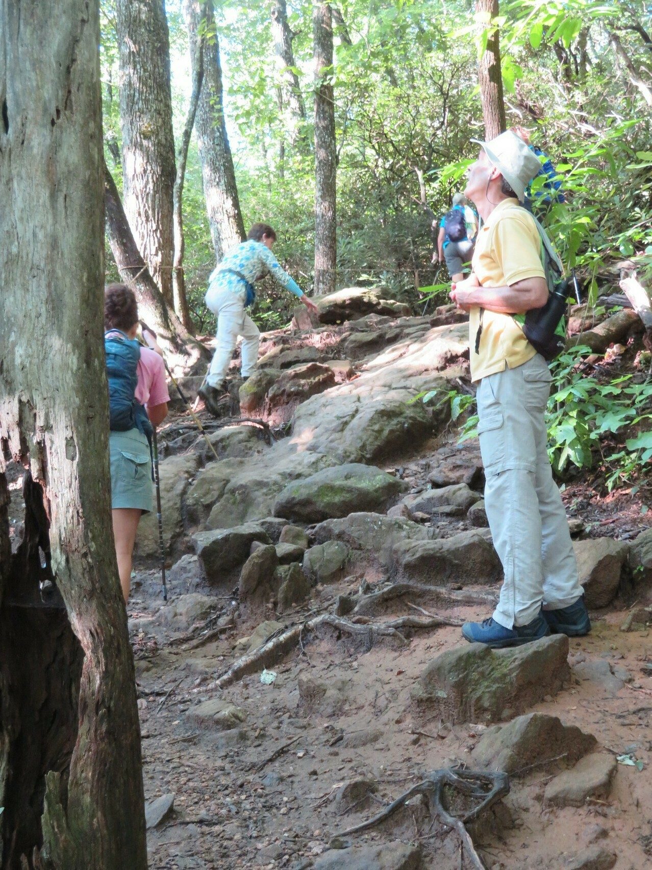 But, lots of sections of rocks to scramble over making for a generally slow hike.