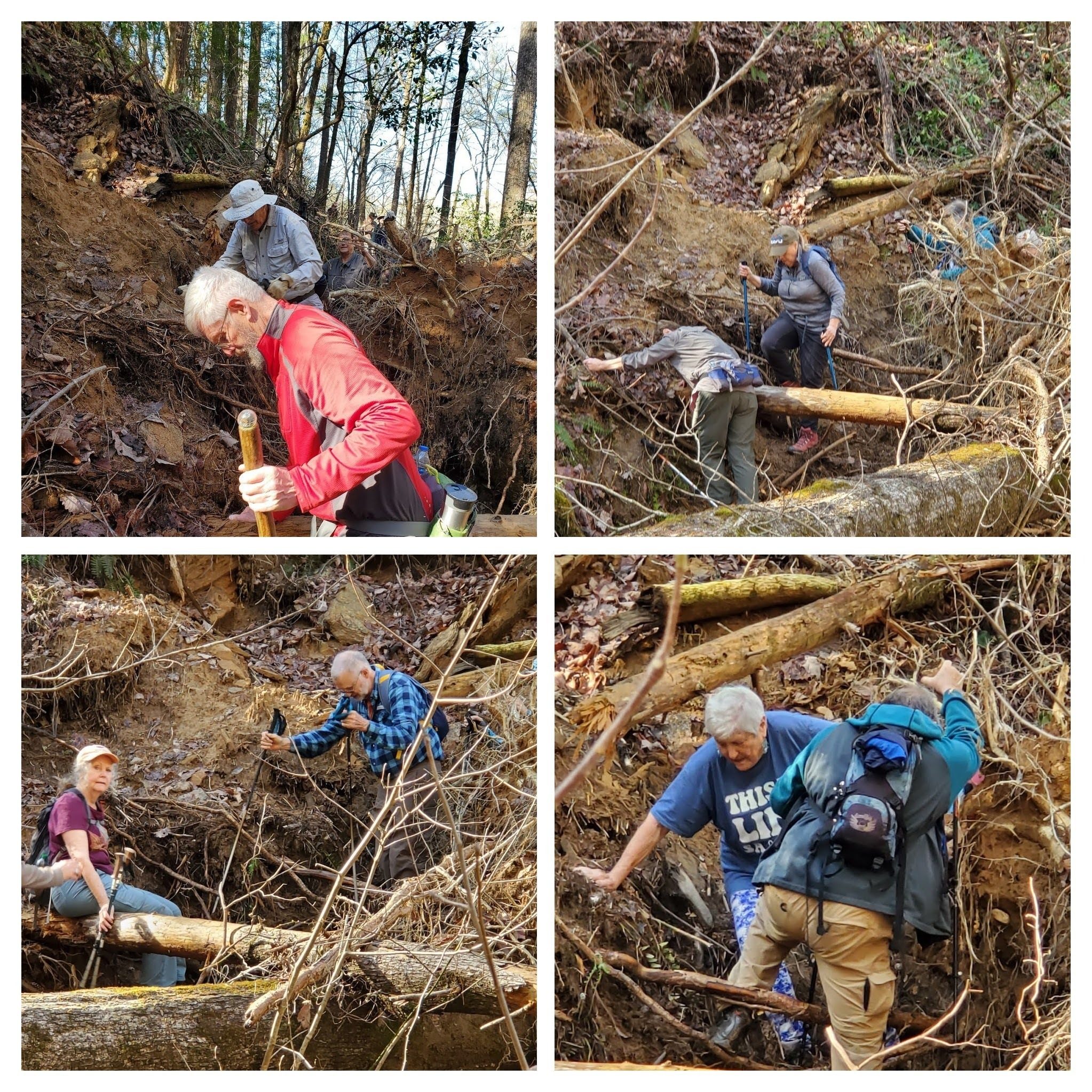 This blowdown took extra care and effort to climb through.