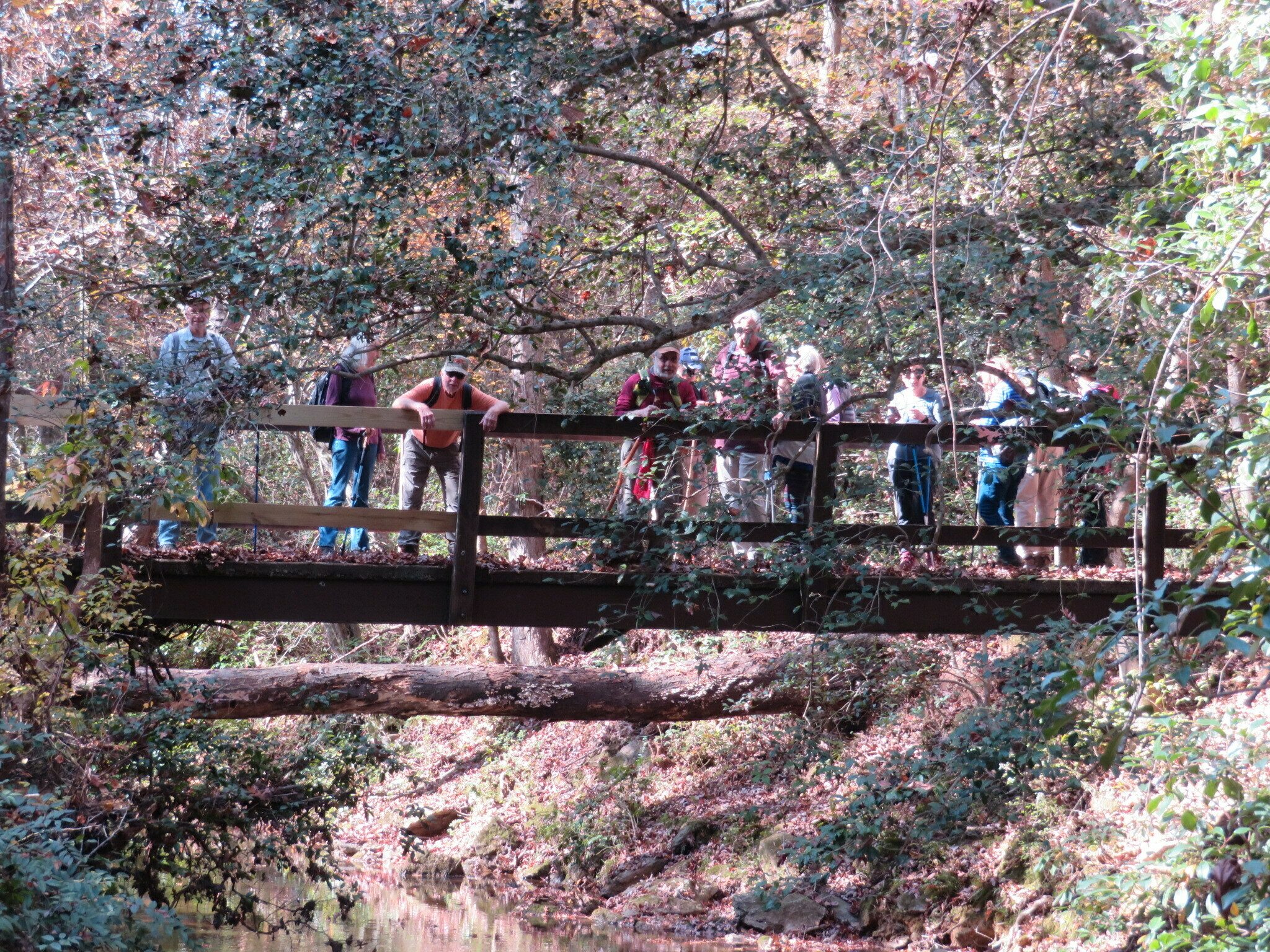 Crossing Rice Creek . . Hey!  Look this way.
