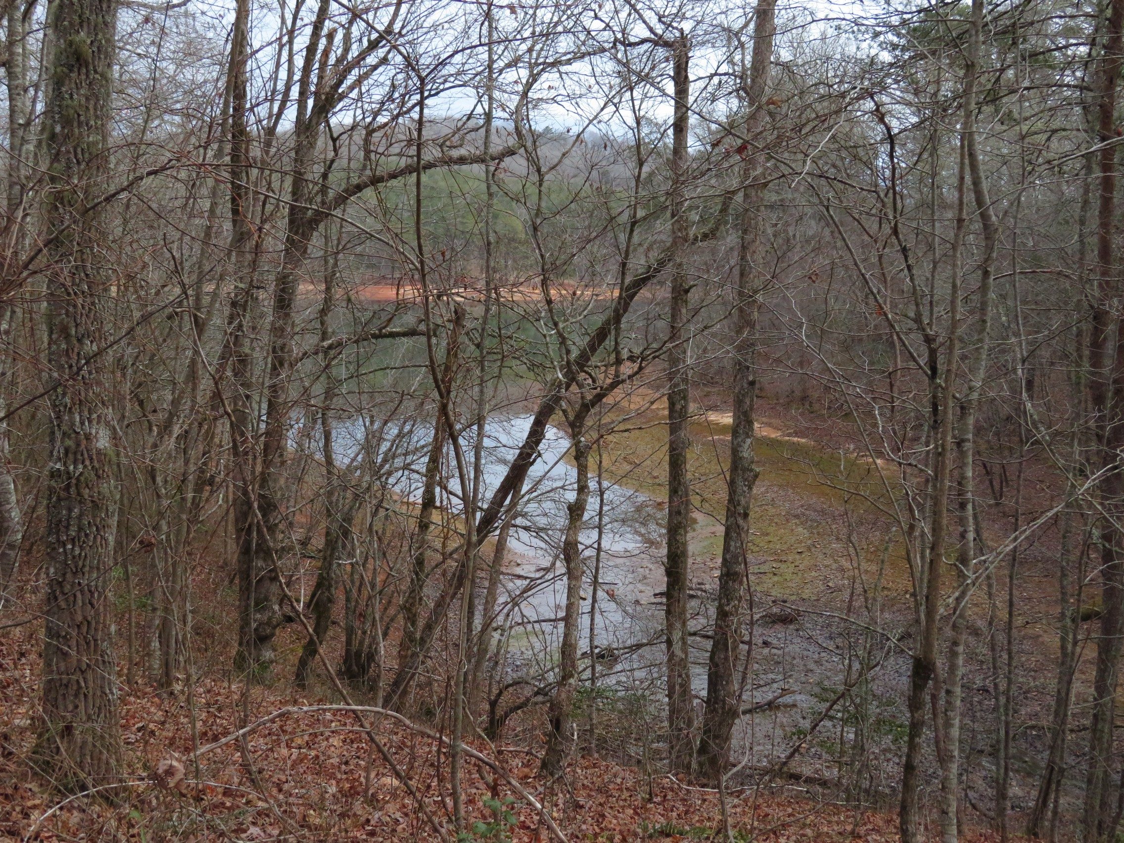 The lake was really down today.  Today's Hikers (L-R): Renee, Jenny, Mike, Lynn, Ray & Vic.
