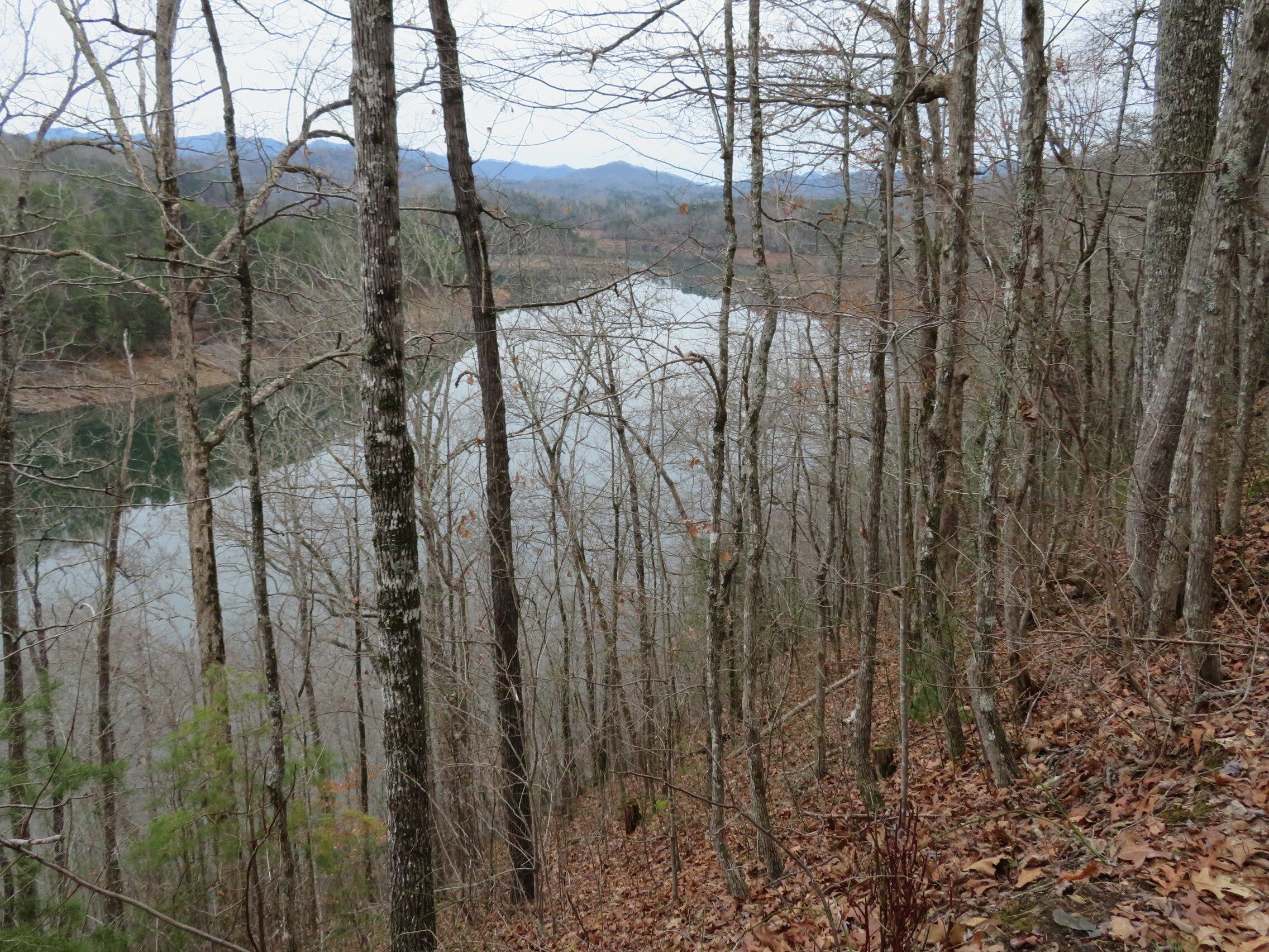 Another view of the Little Tennessee River.