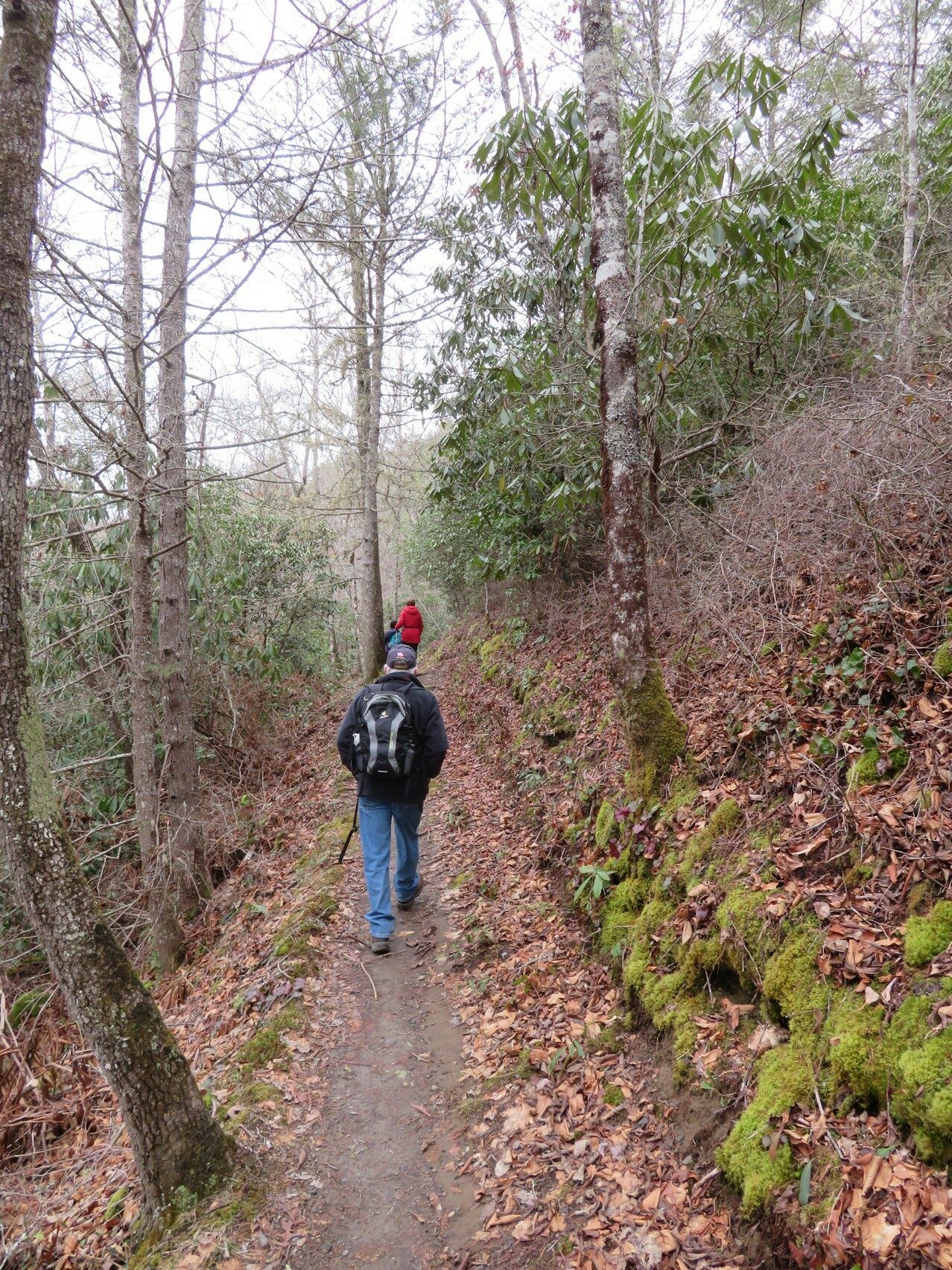 Typical hiking trails on east side of right trail loop.