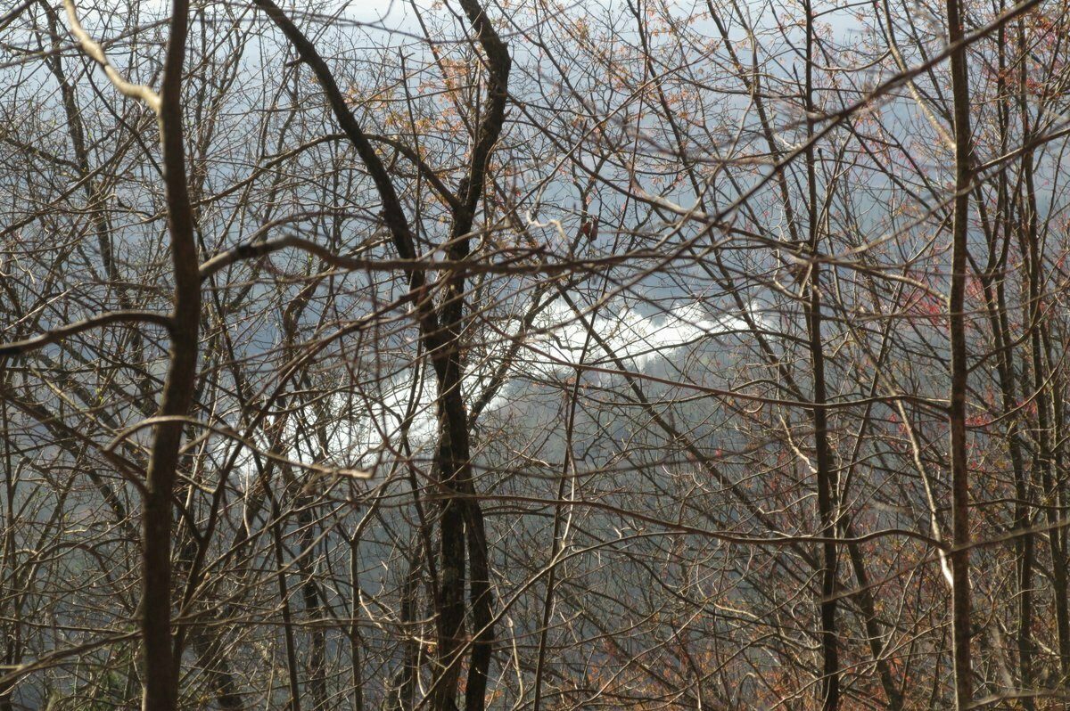 A view of Lake Cheohee from the trail.