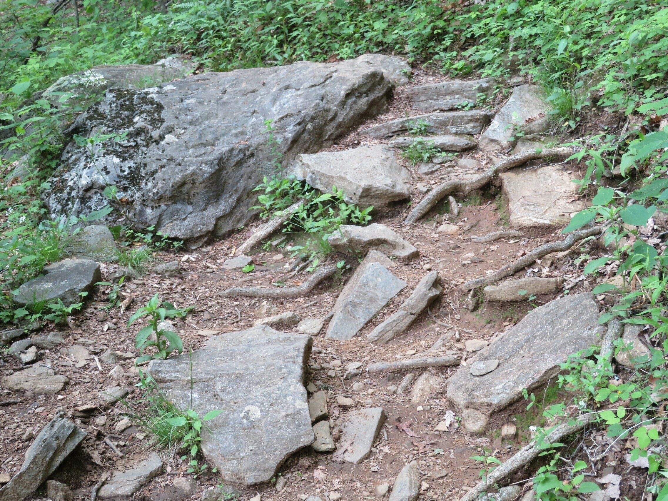 One of the easier sections of our rocky trail