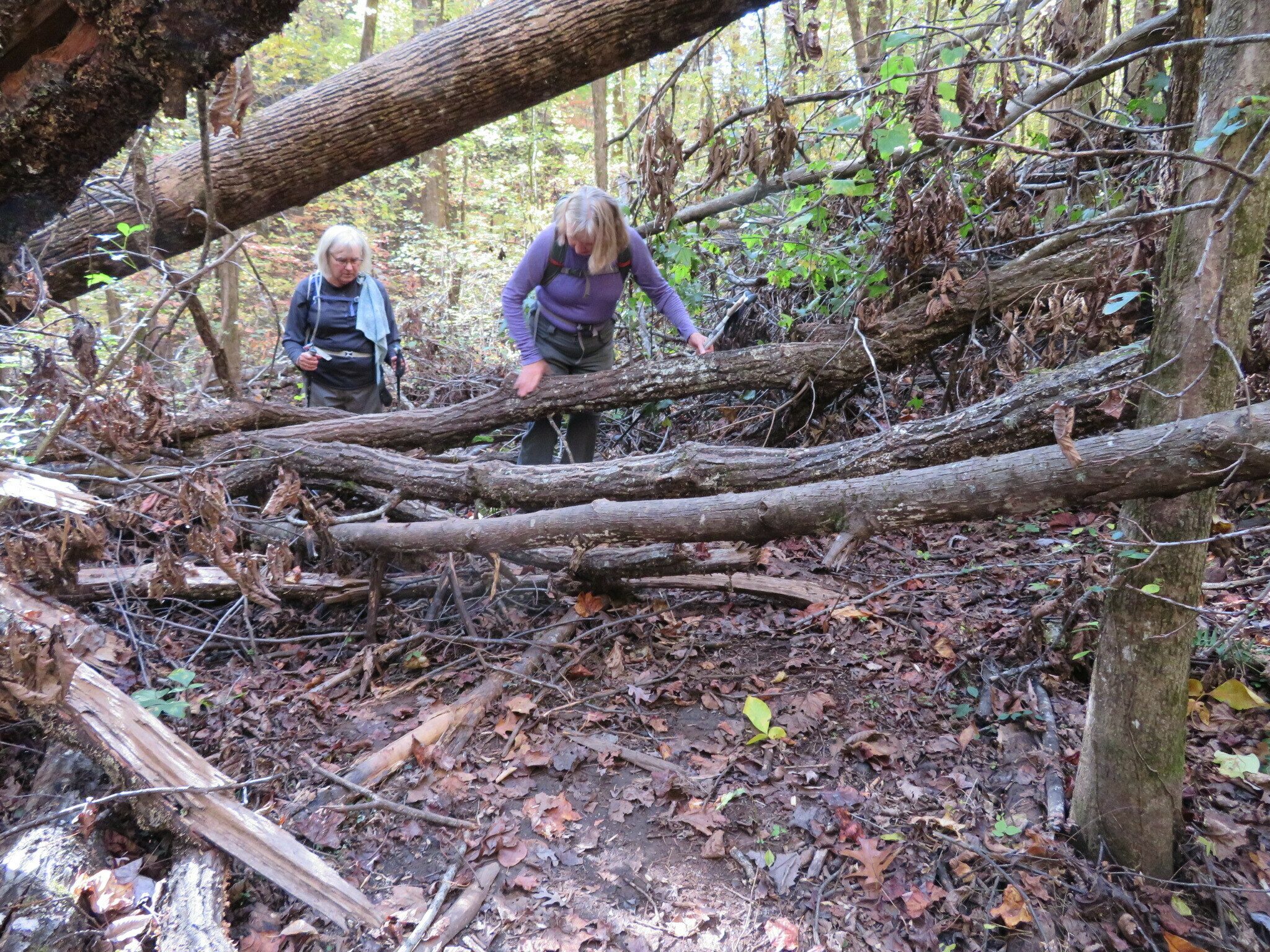 Second major trail blockage.