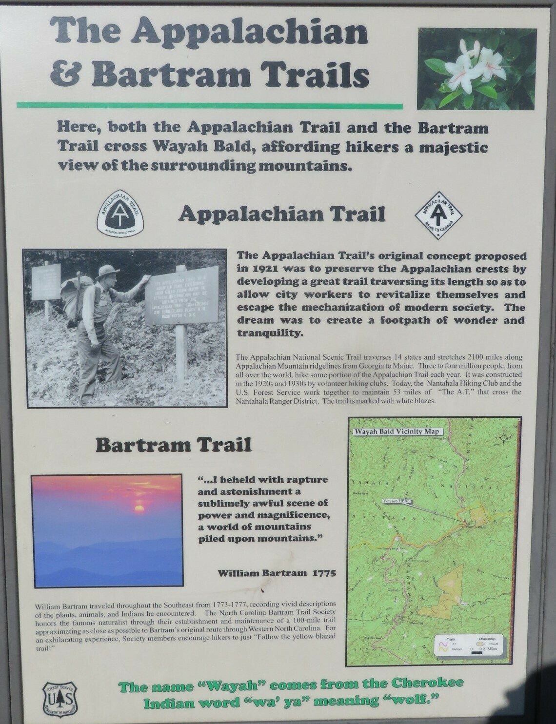 A little history on the Bartram Trail & Appalachian Trail