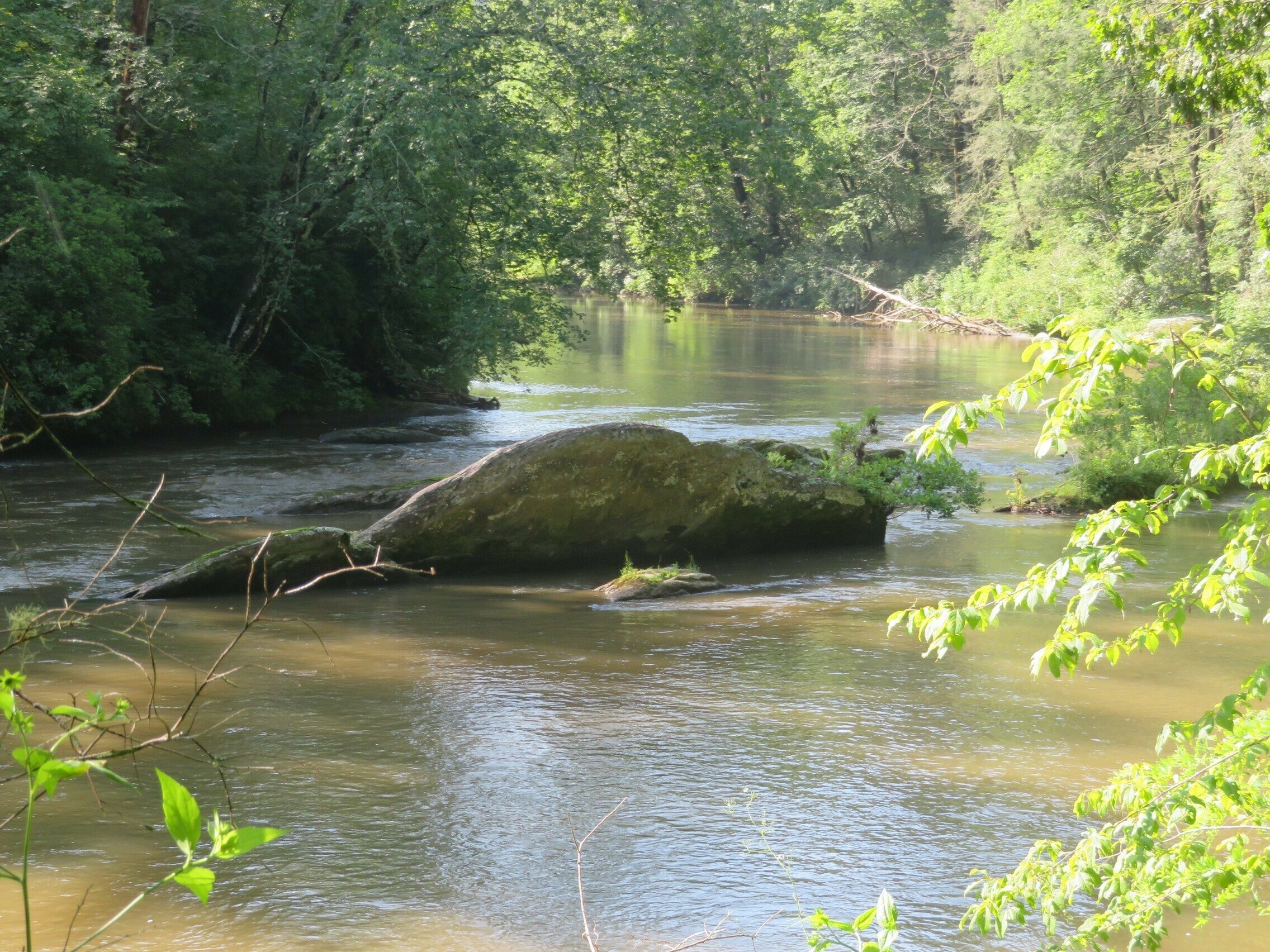 Chattooga River view