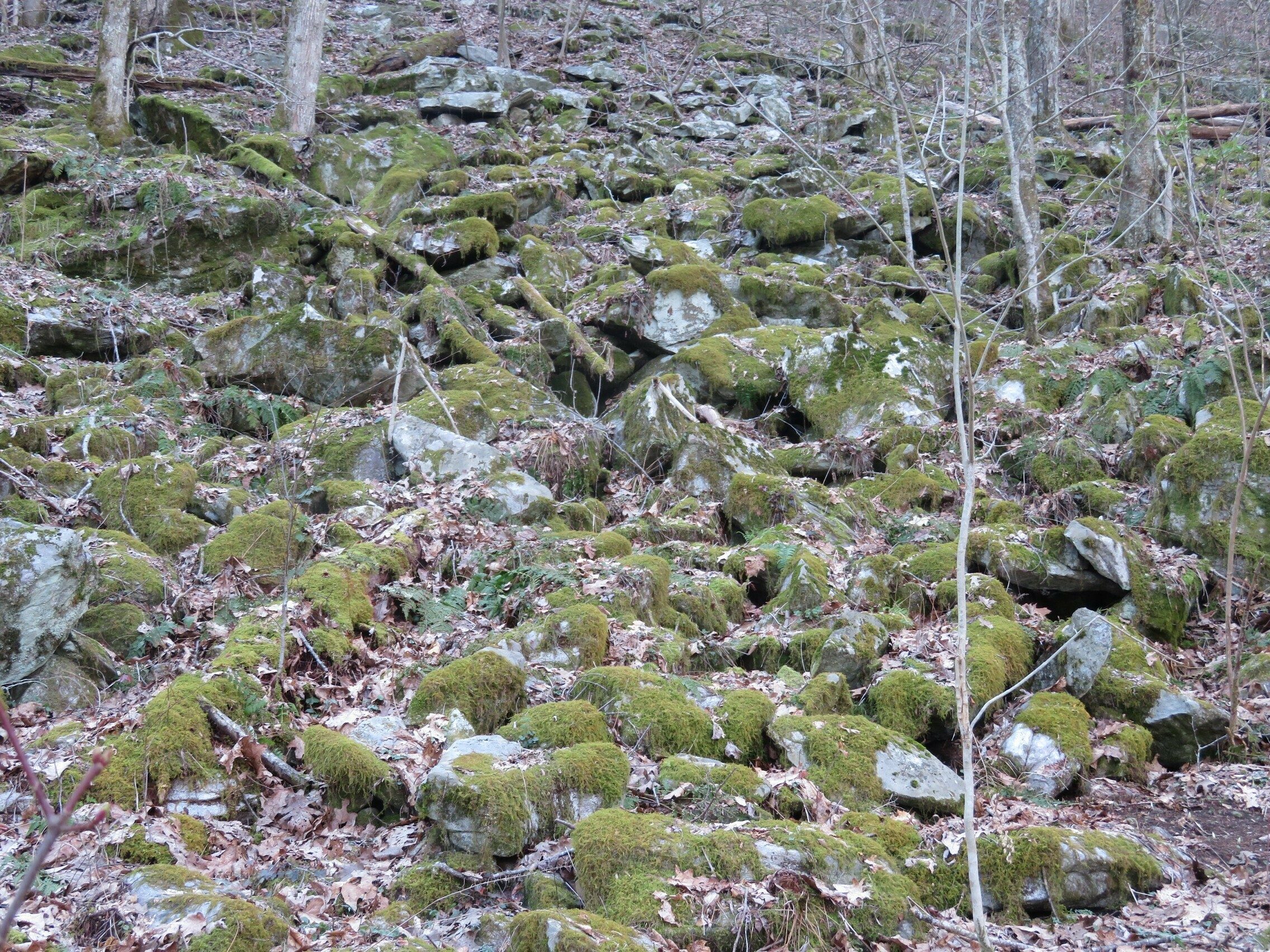Moss covered rocky hillside.