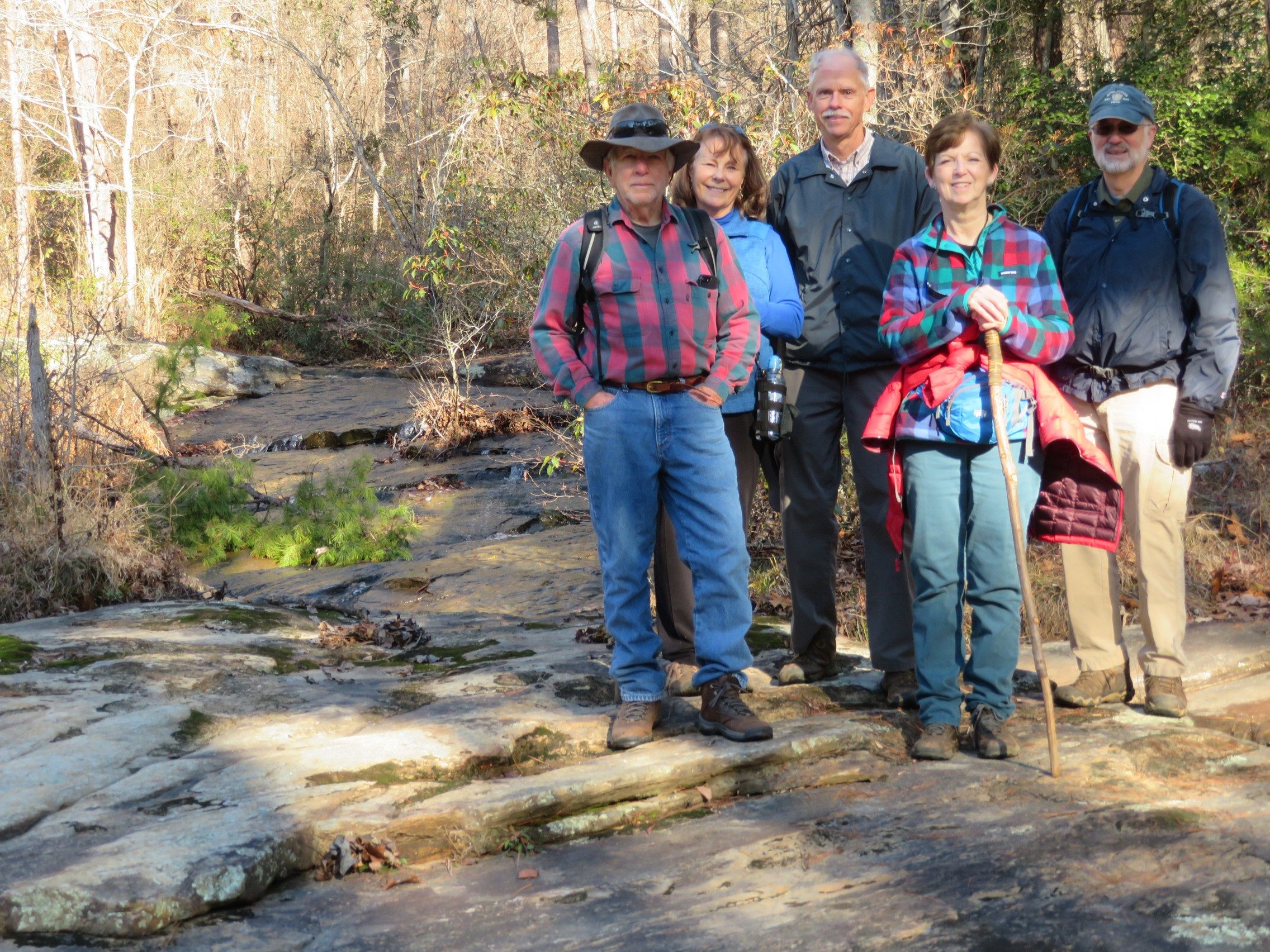 Today's hikers above Mary Steele Falls: Vic, Renée, Mike, Jenny & Ray