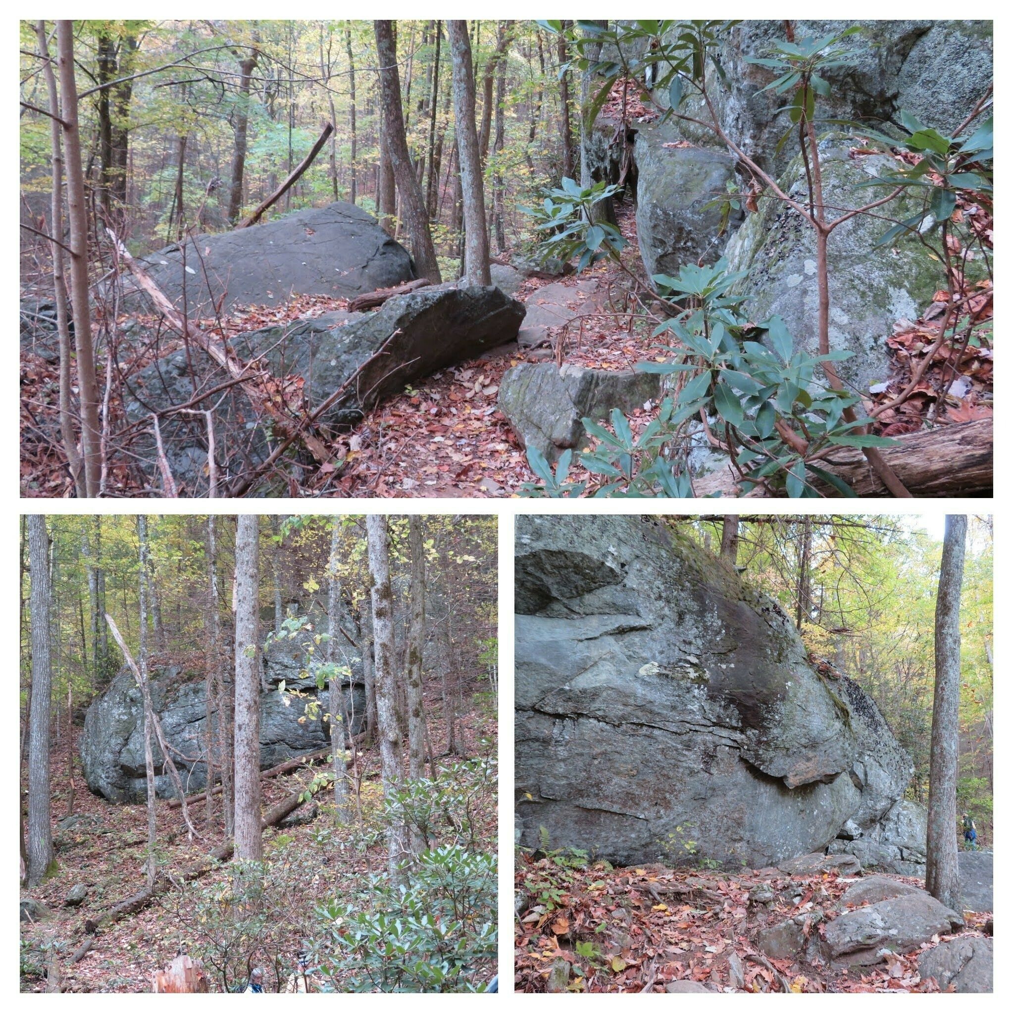 One particularly large rock formation on the final leg to the Duncan Ridge Trail.