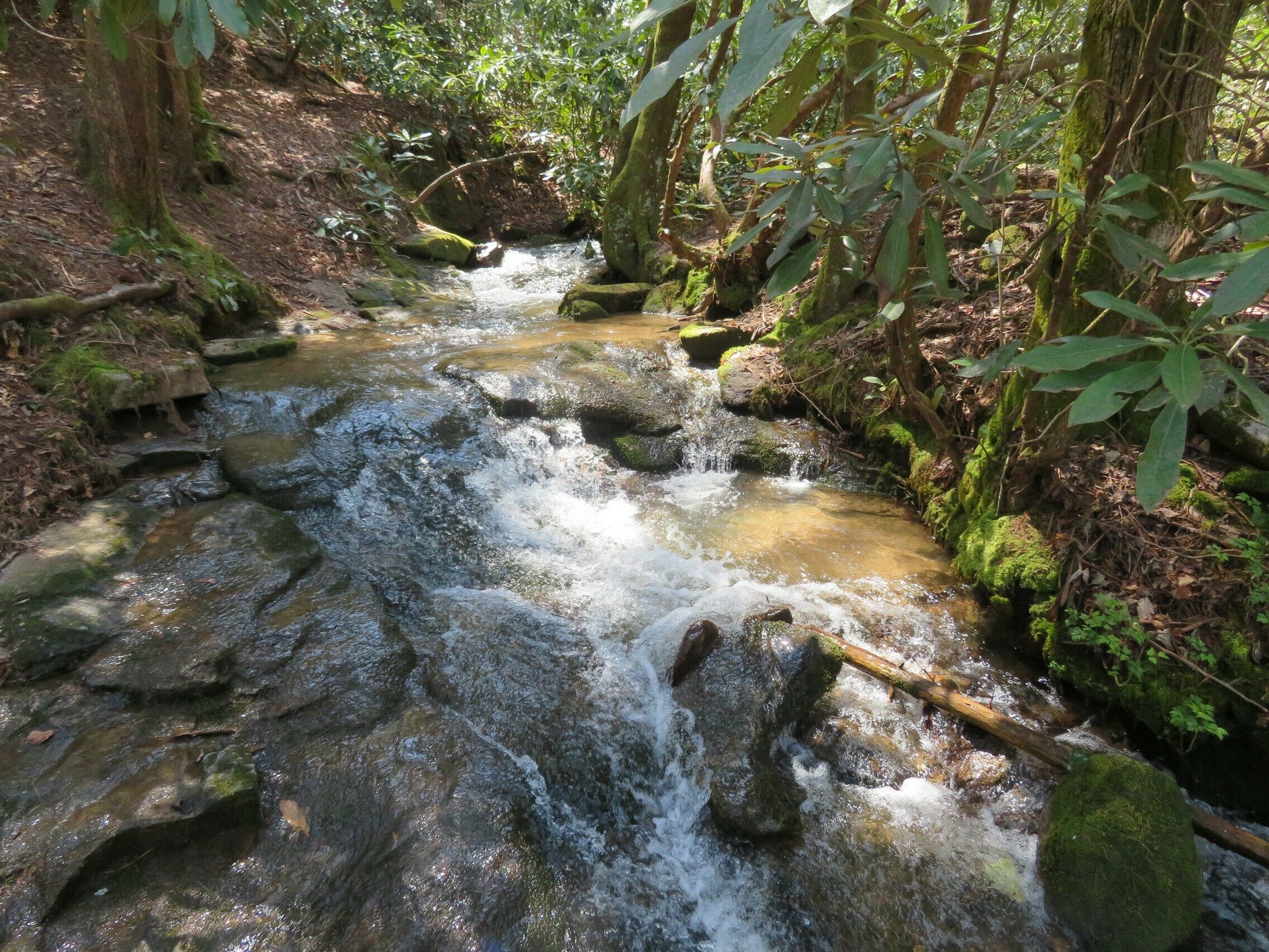 Nice water feature along the trail.