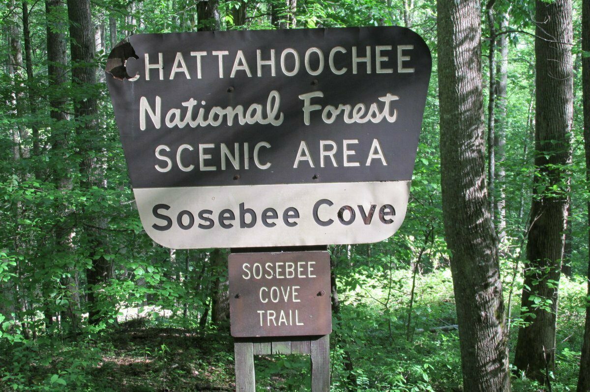 Feature Sign