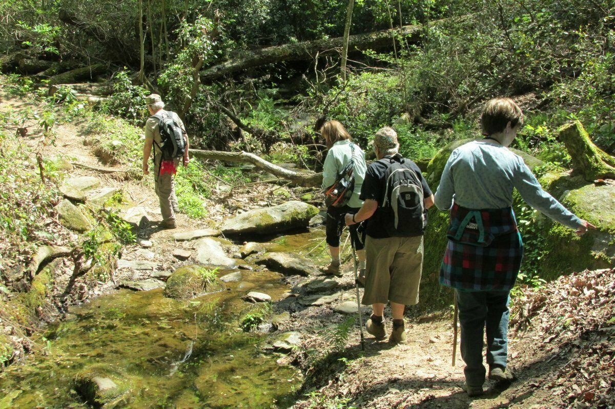 Creek crossing