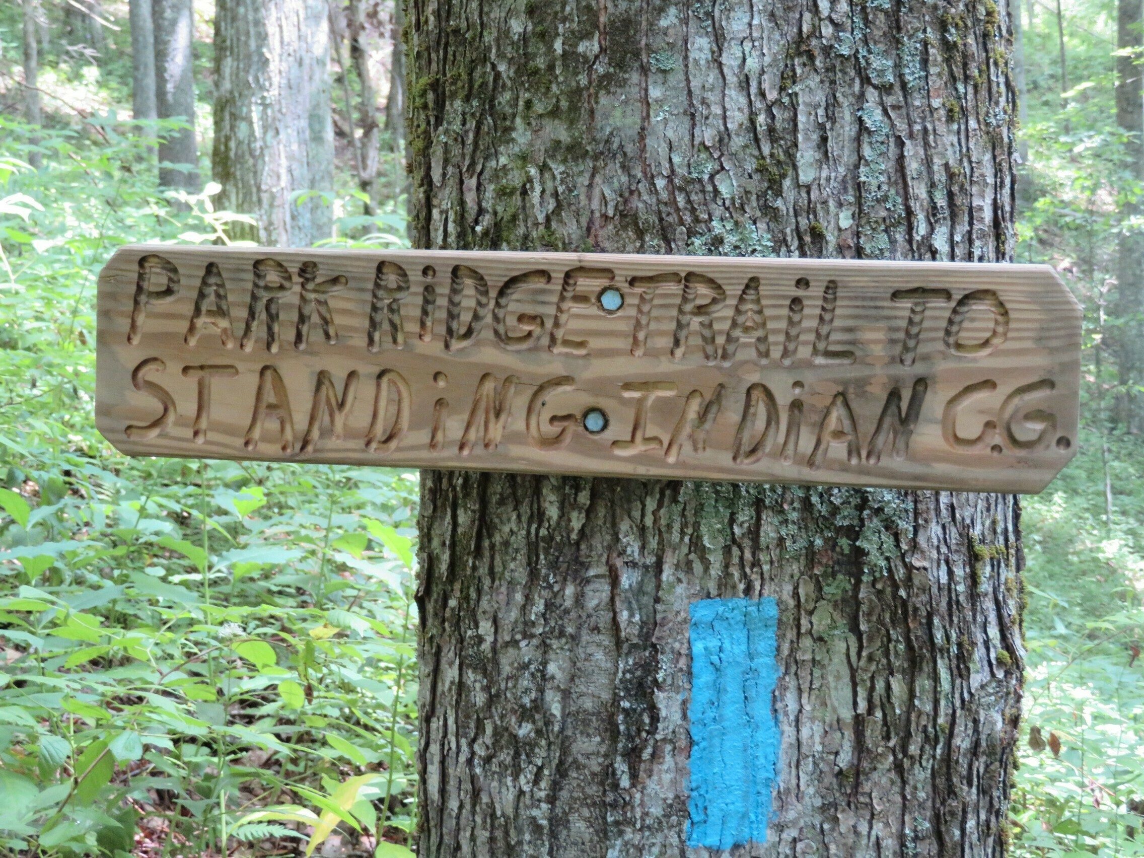 This is the way back when hiking the loop counterclockwise.