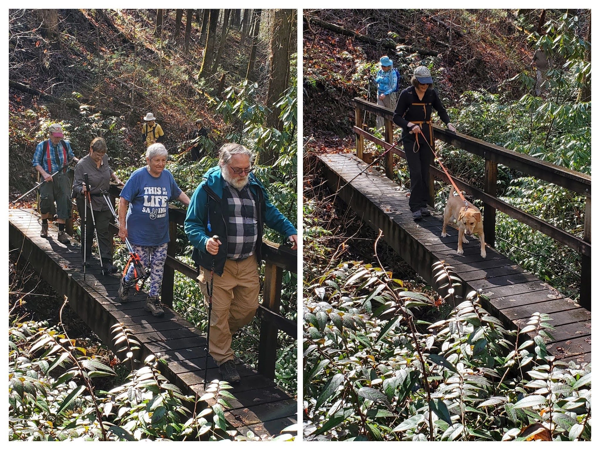 A nice, but slippery bridge across this drainage swale.  Squirt says, "I'm thirsty!"