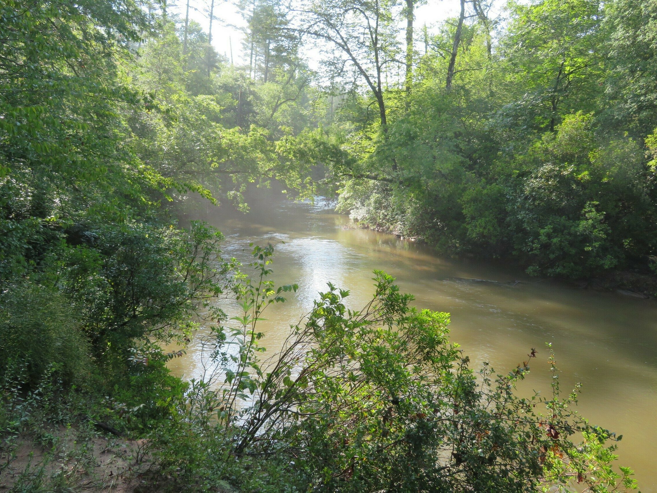 Muddy, but scenic Warwoman Creek