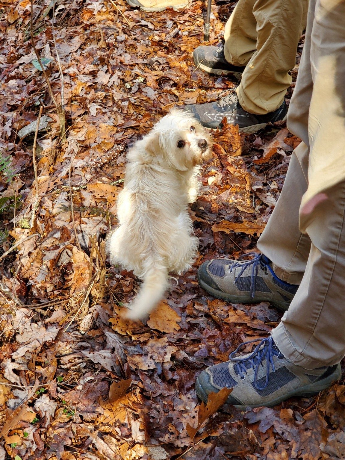Ken's "Cutie Pie," a new trail dog, is wondering what we're waiting on.  This little pup had no trouble keeping up.