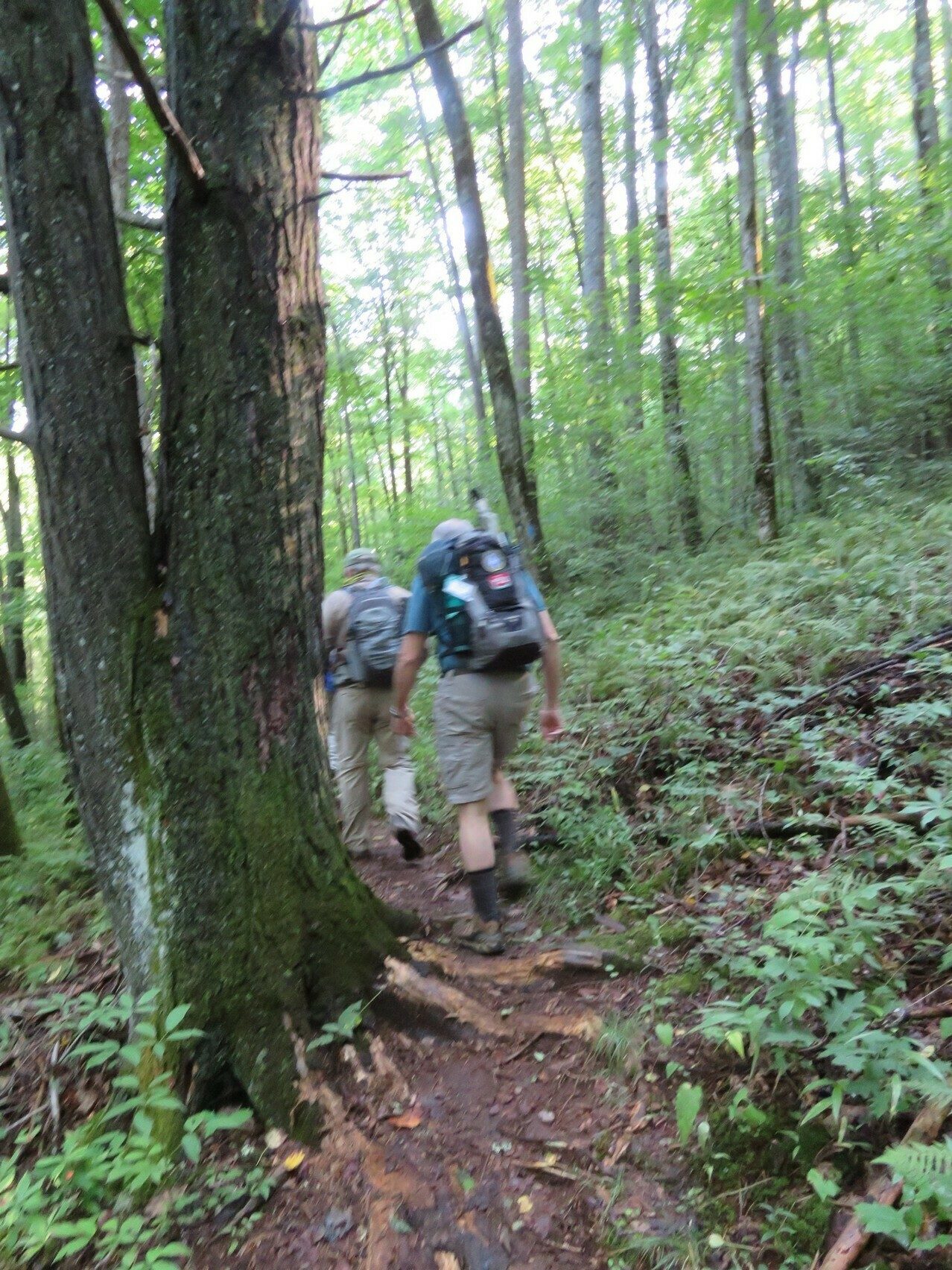 The Long Branch trail is an easy walk.