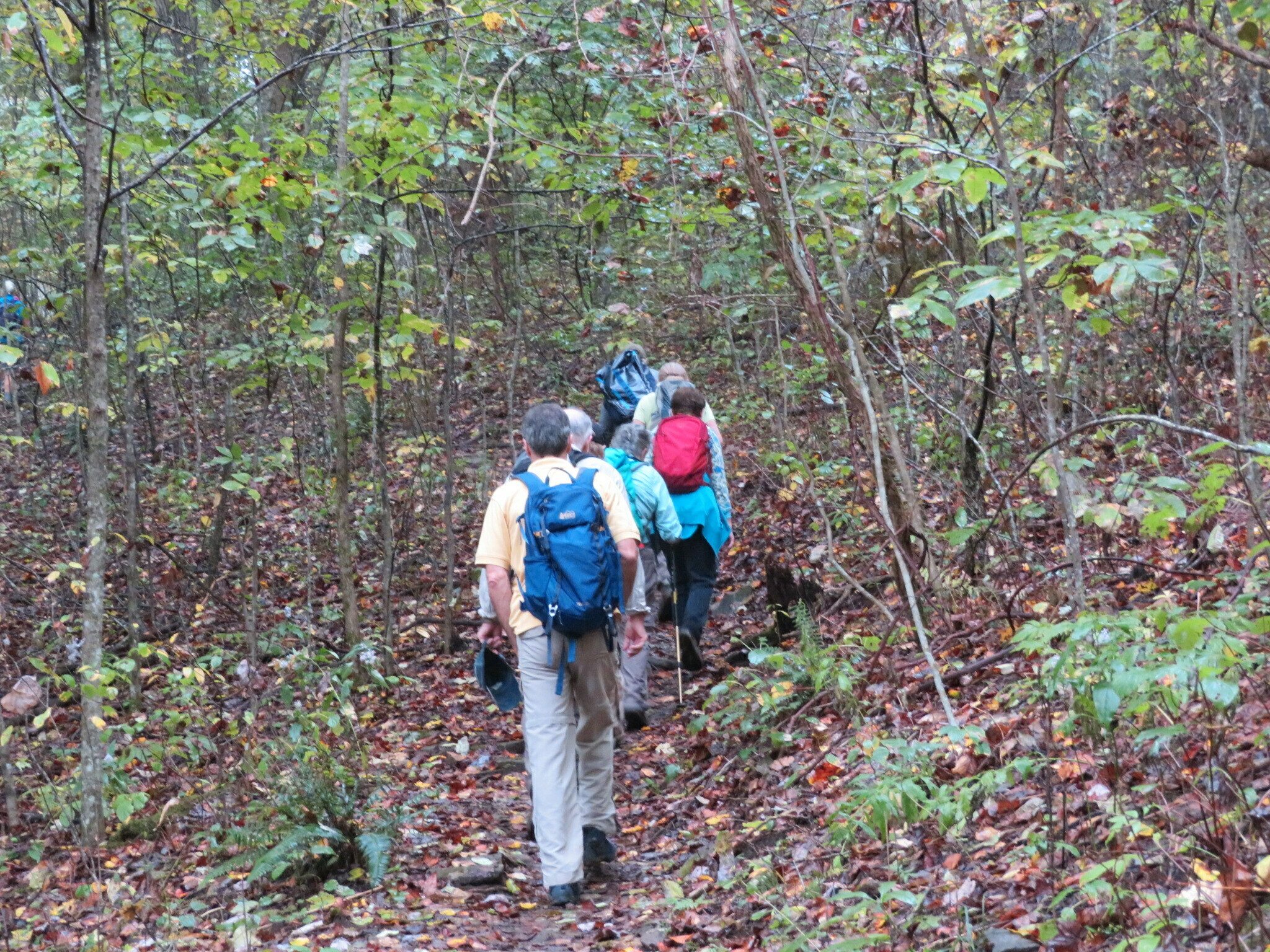 Headed back . . .  Viv, did you find that painted rock from last year?