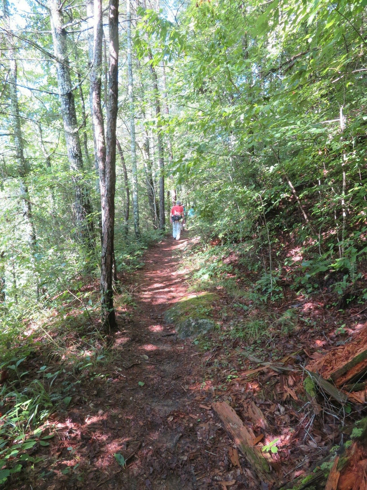 Typical trail conditions at the start of the hike