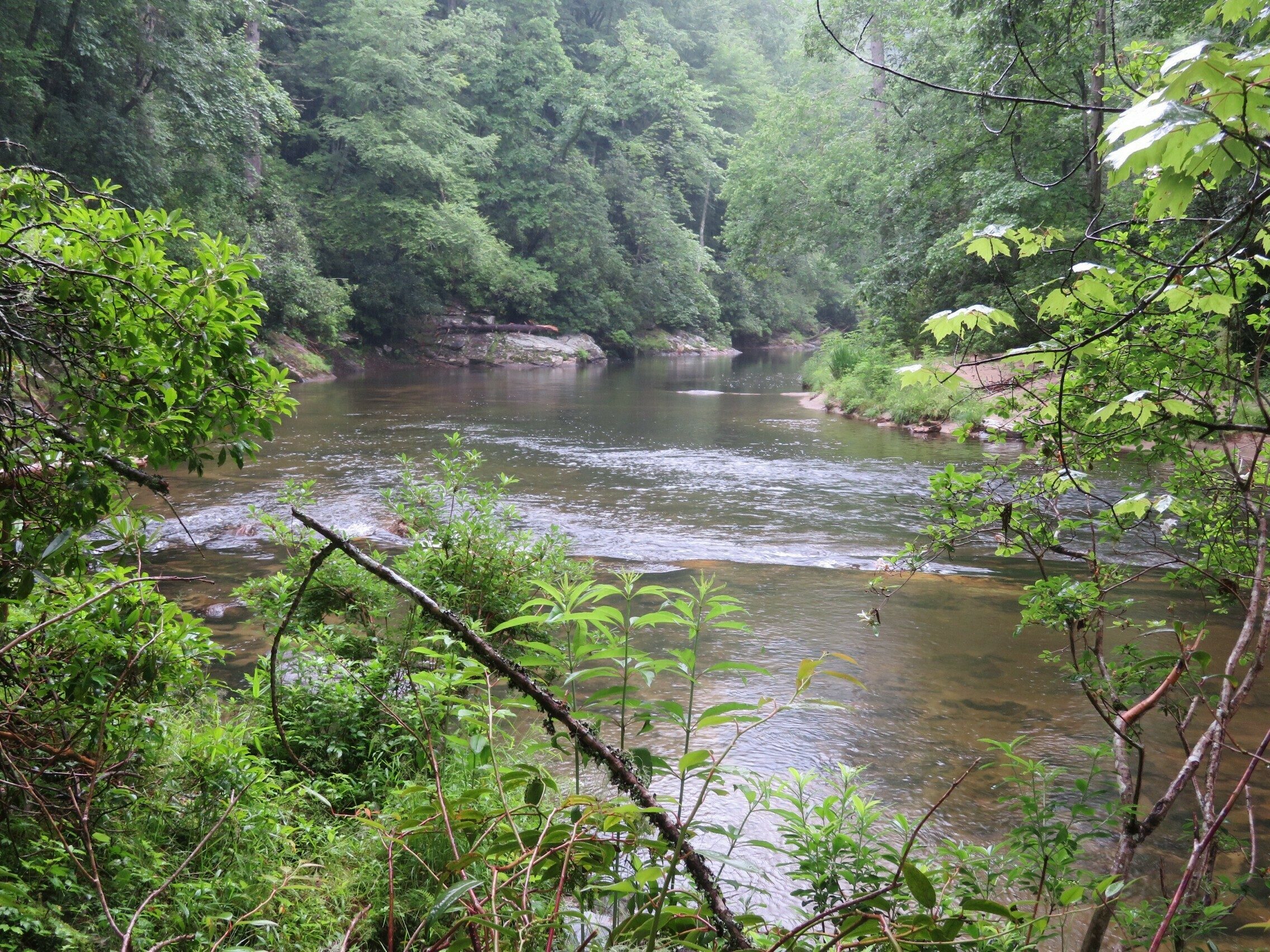 Chattooga River view.