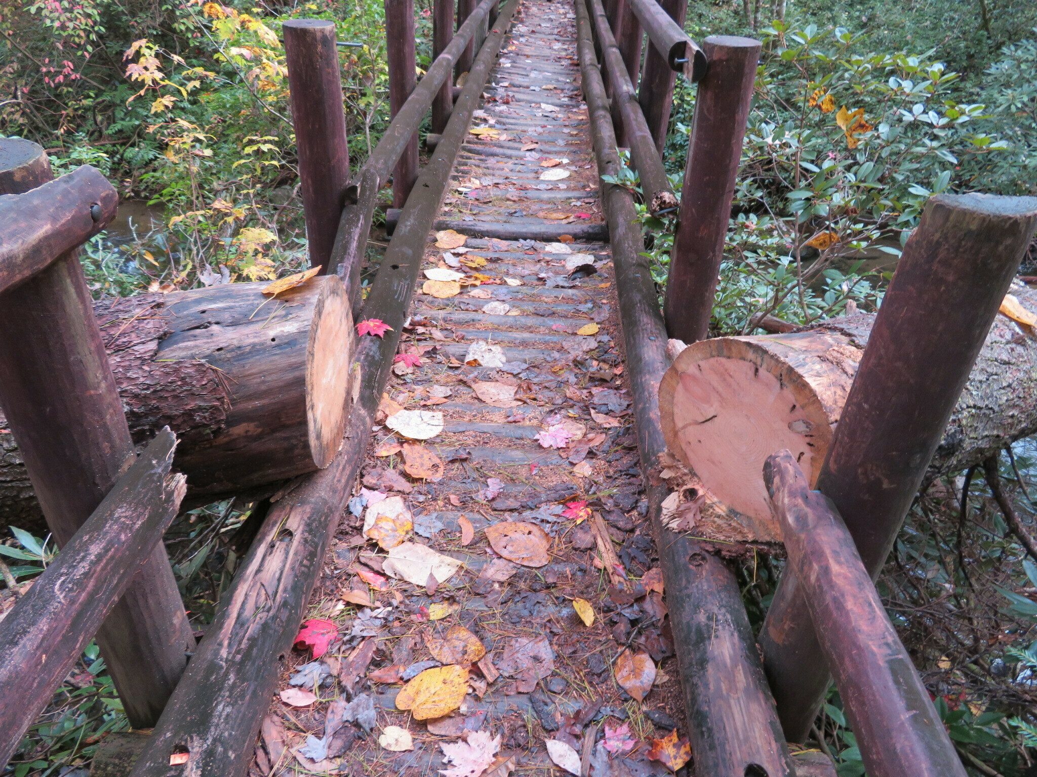 The second water crossing.  We were lucky the bridge over the East Fork of the Chattooga Rive had been cleared.