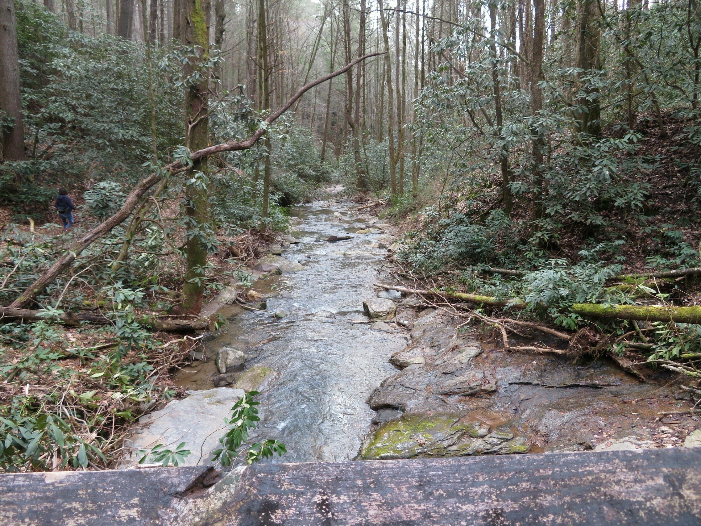 Downstream look from second bridge across Pole Creek