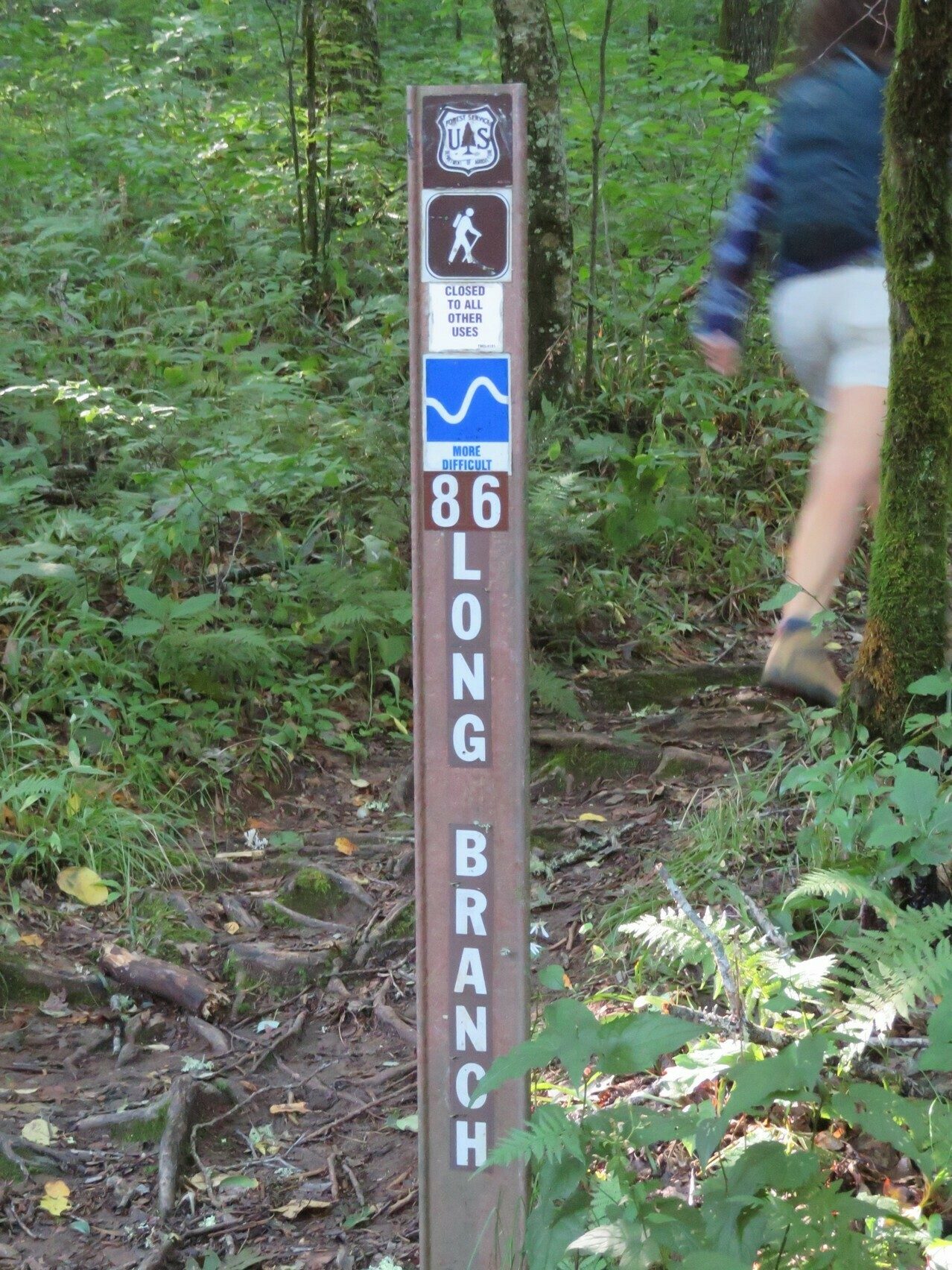 Good trailhead signage.