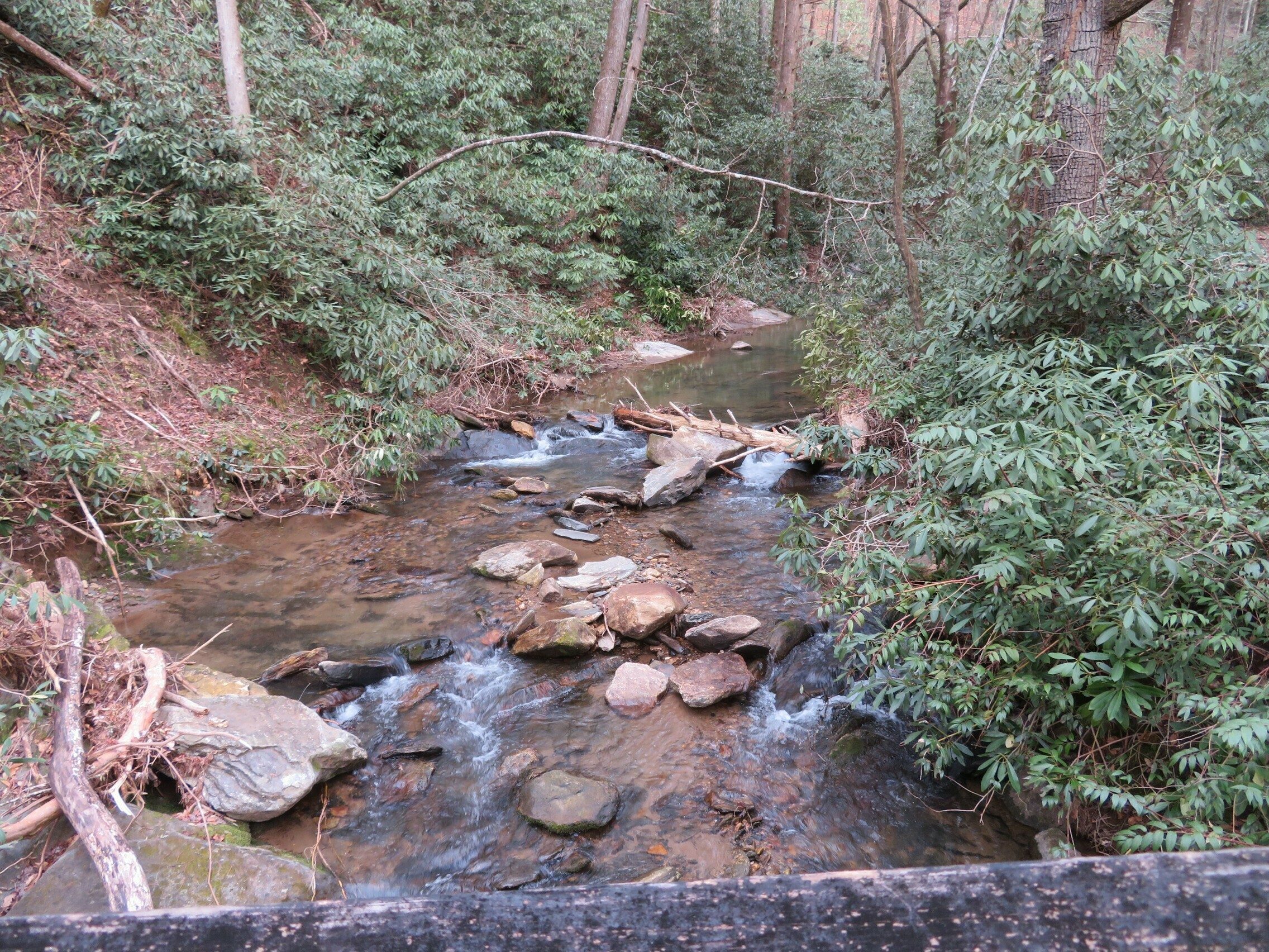 Upstream look from second bridge across Pole Creek.