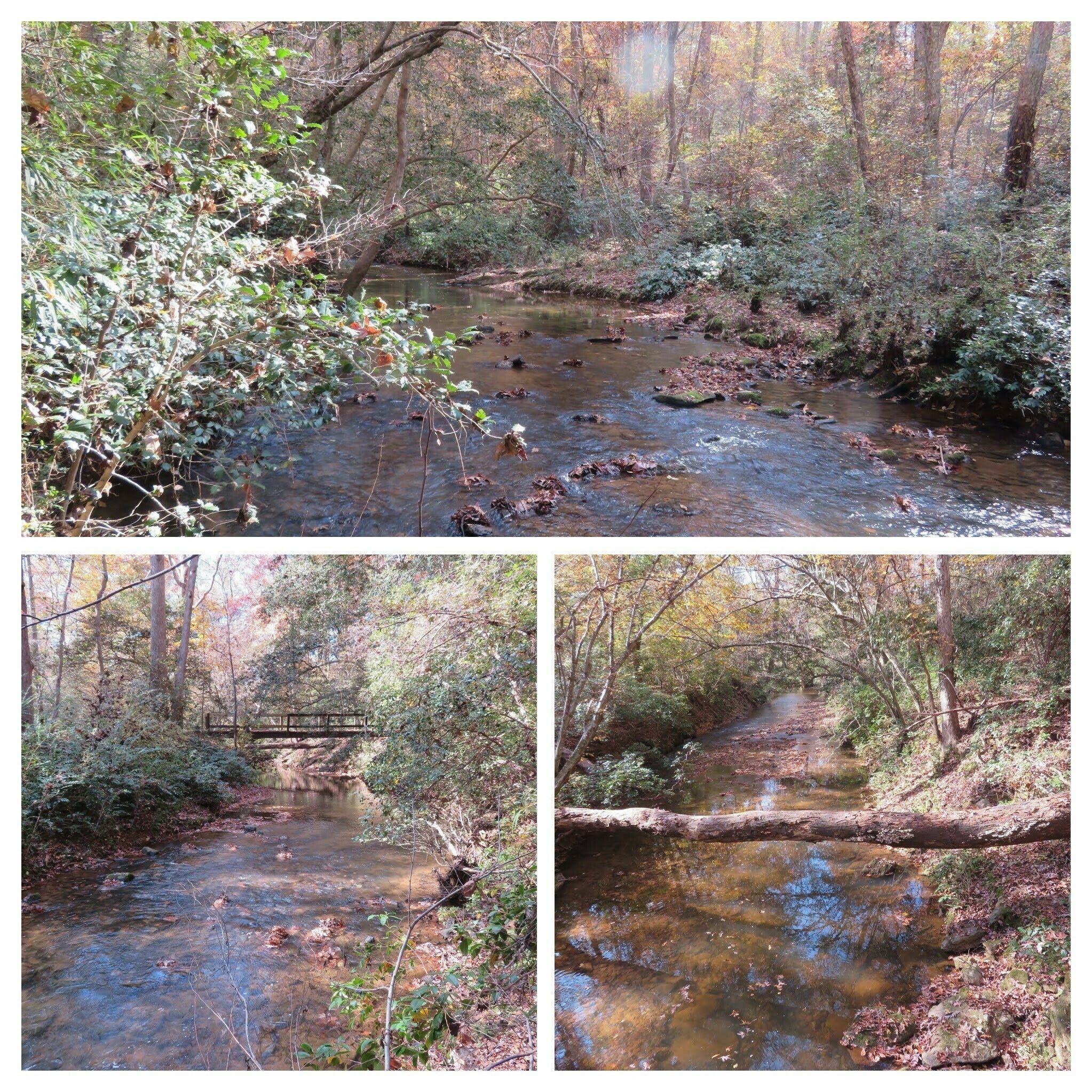 View of Rice Creek toward the end of our hike.