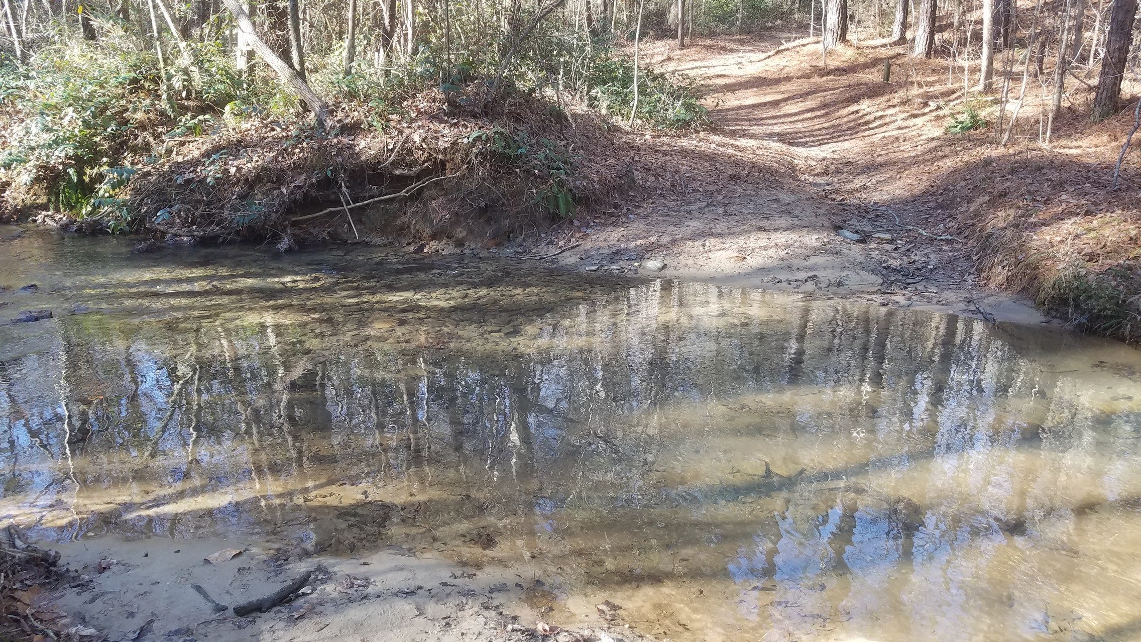 Stream Crossing of Big Leather Wood Creek