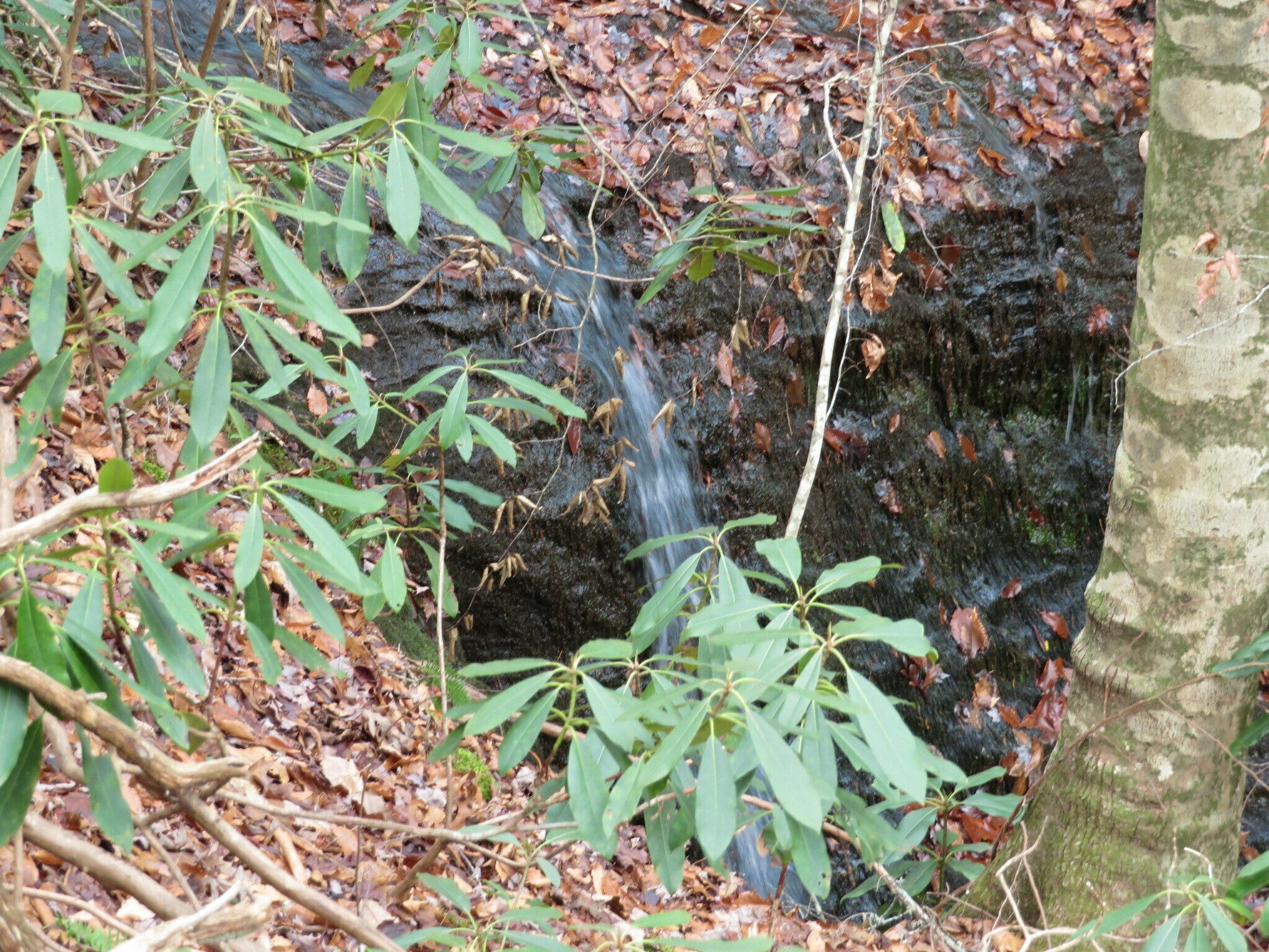 That's a water fall? Another desperate photo shot!