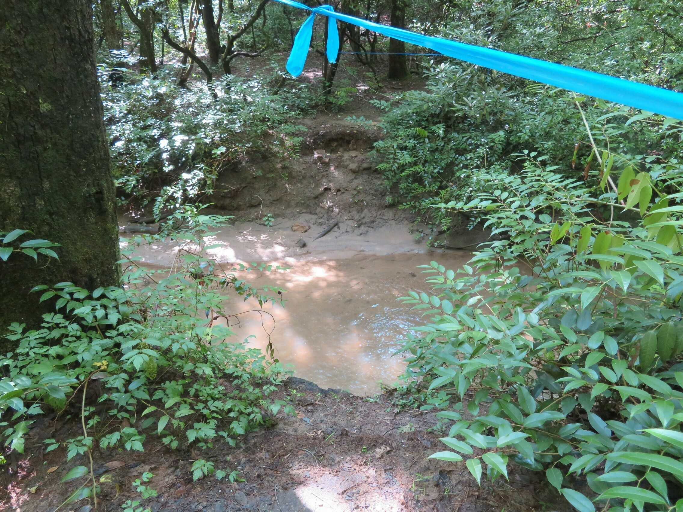 Site of former bridge across Dicks Creek prior to reaching side trail to falls.