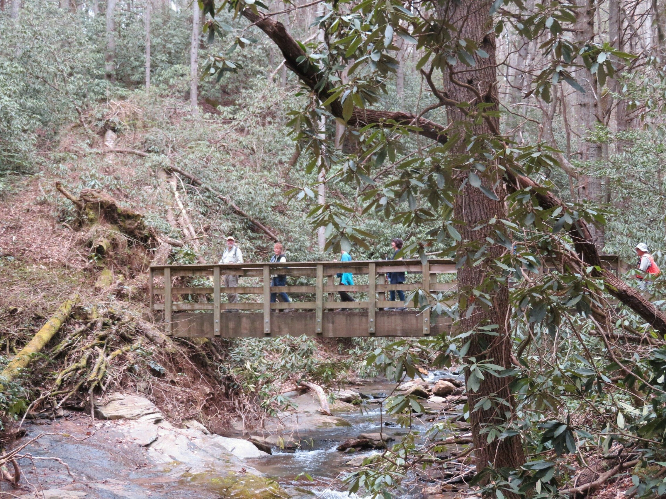 Another bridge crossing picture over Pole Creek
