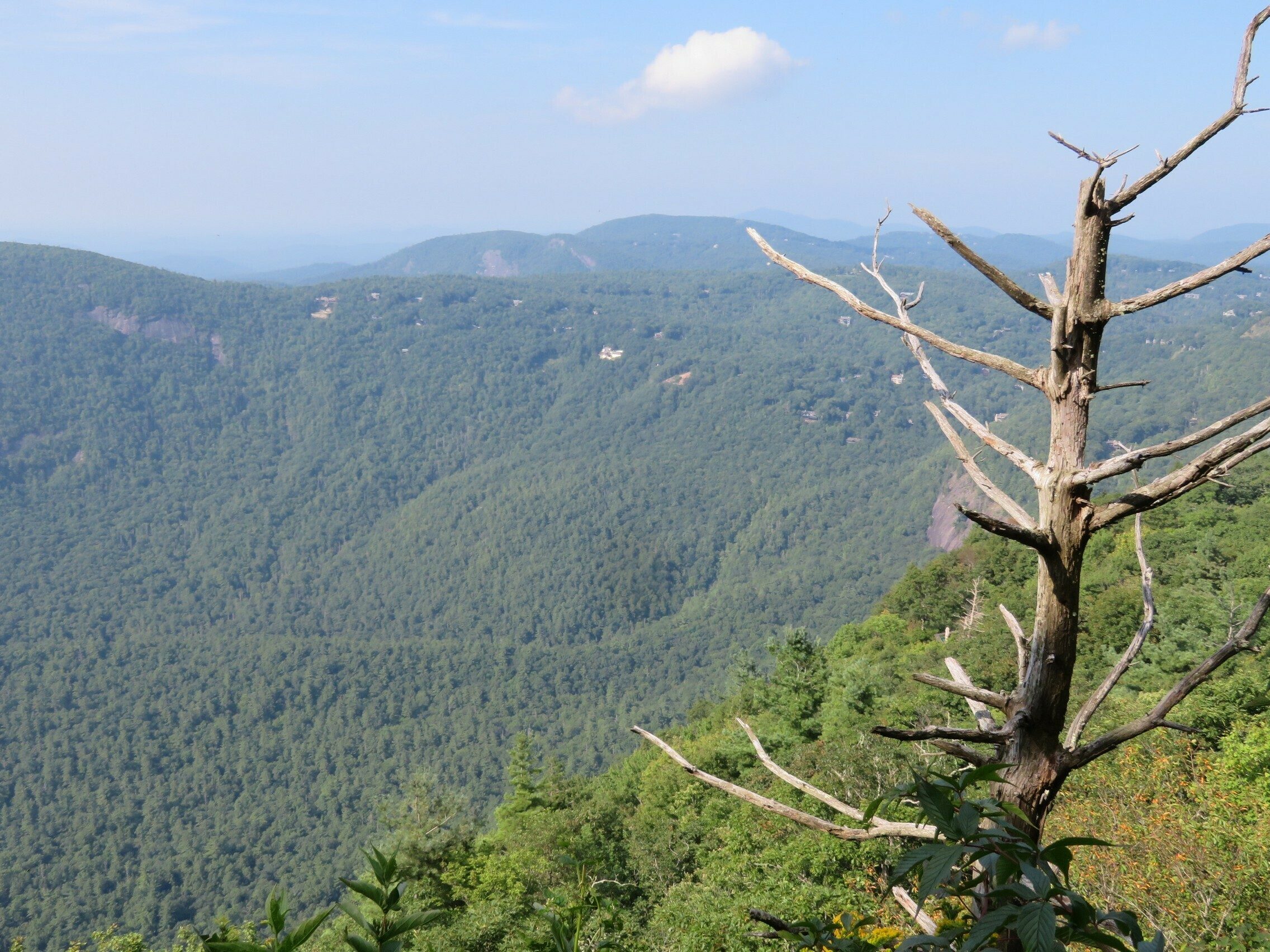 Another view from a small outcrop at the southwest corner of Whiteside Mtn.