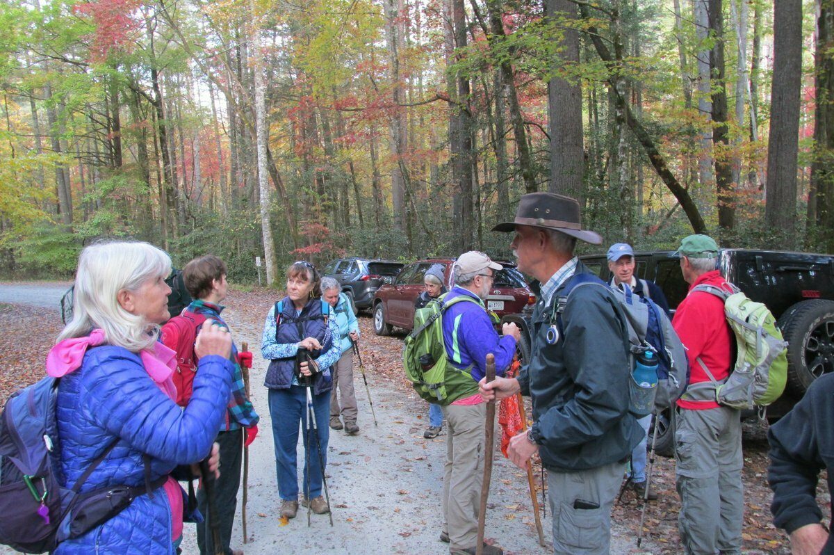 Getting organized at the start