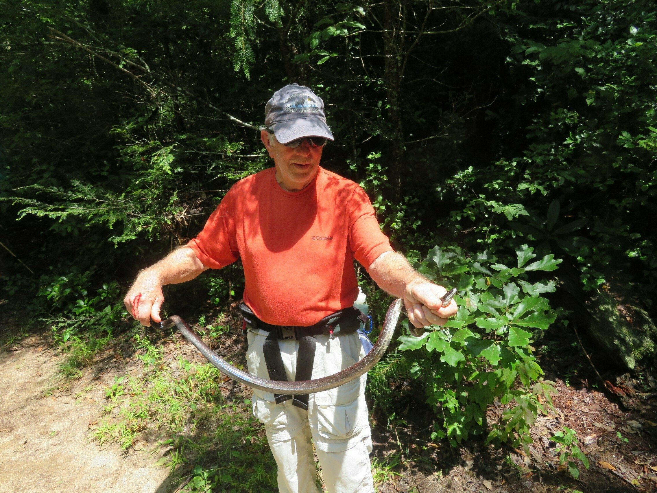Vic playing with another Black Rat Snake.  Check out snake bite site on Vic's right hand!