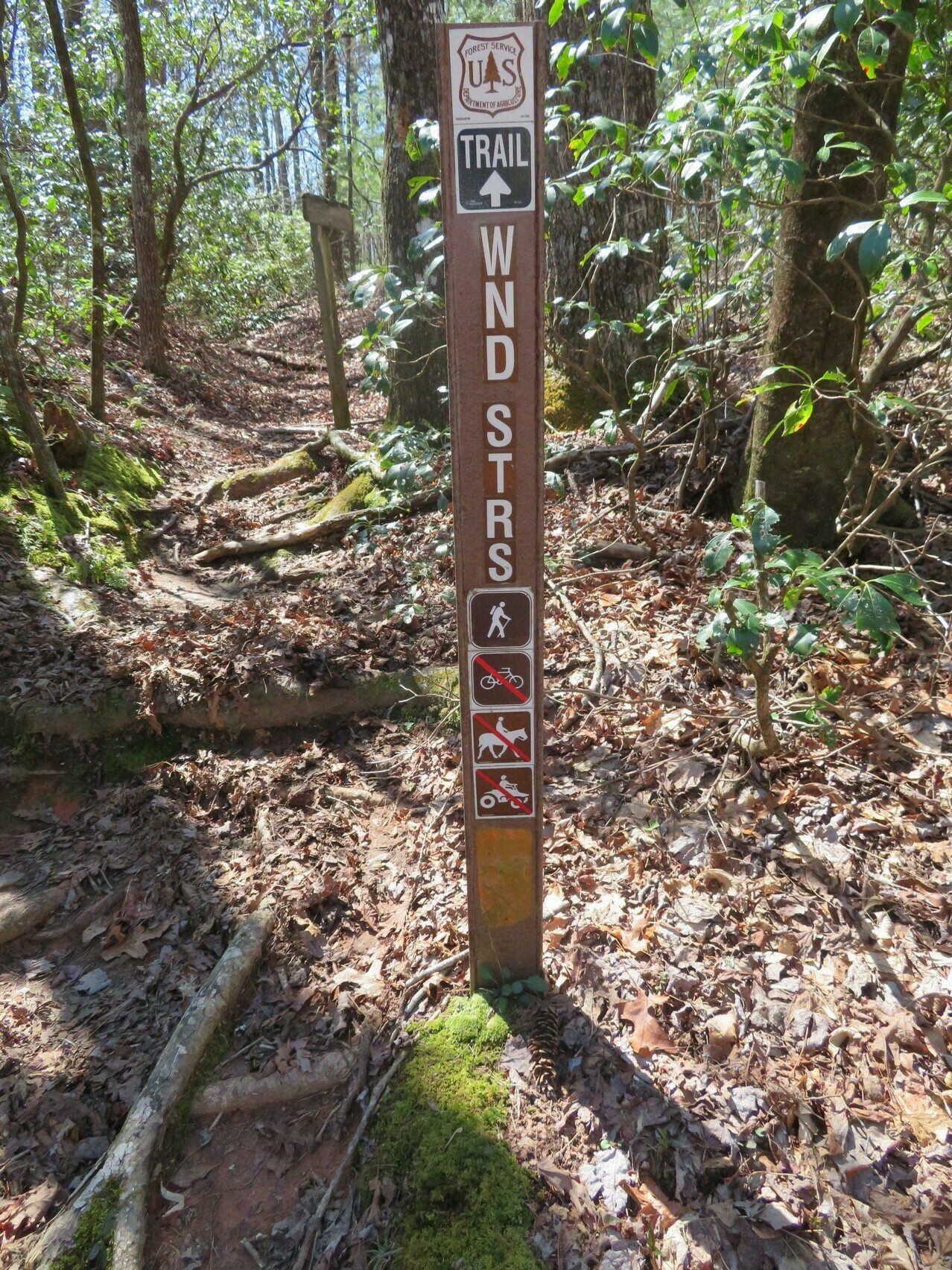 Trail Marker at Trailhead off of SC 107