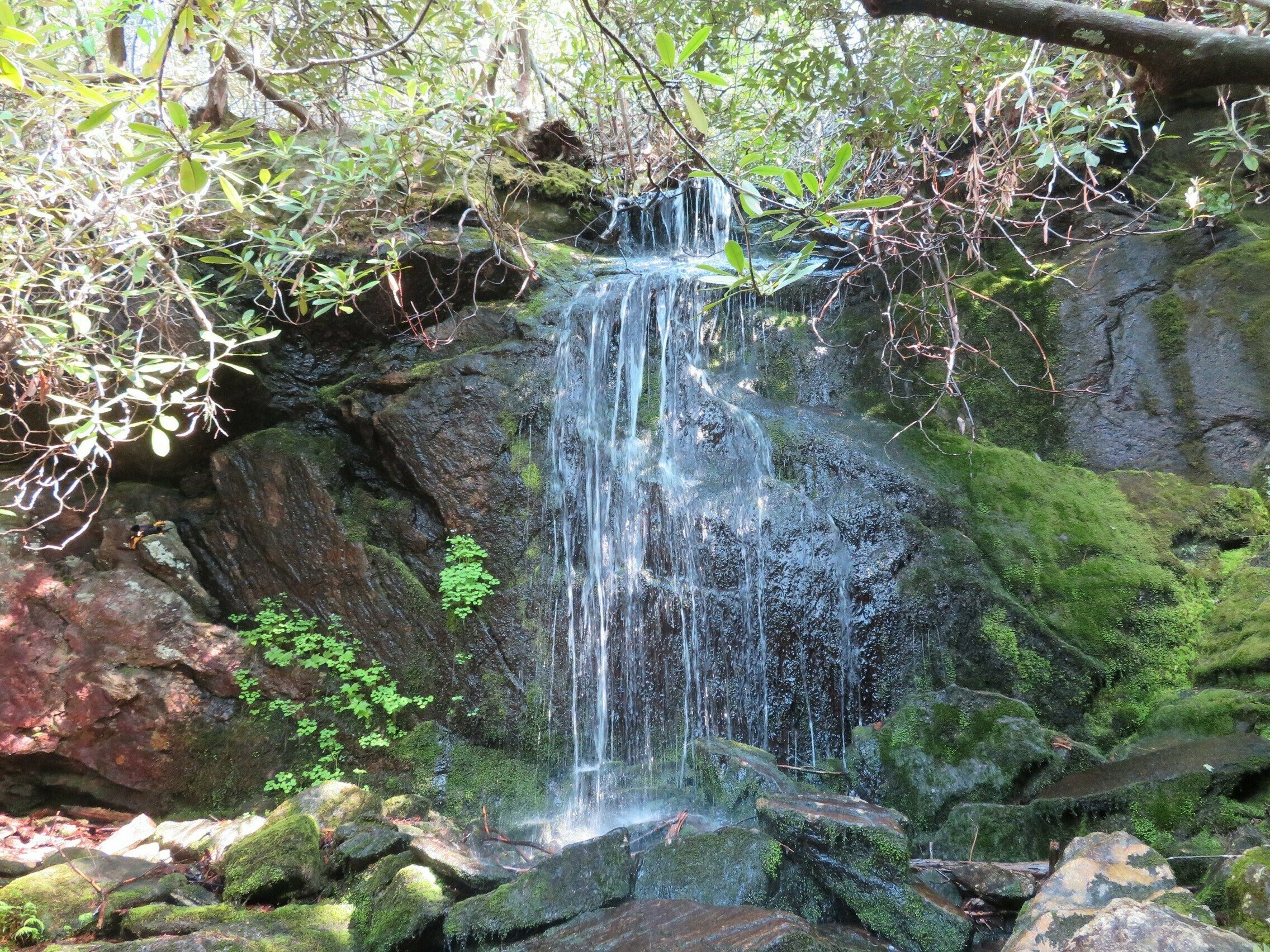 Small falls off the trail.