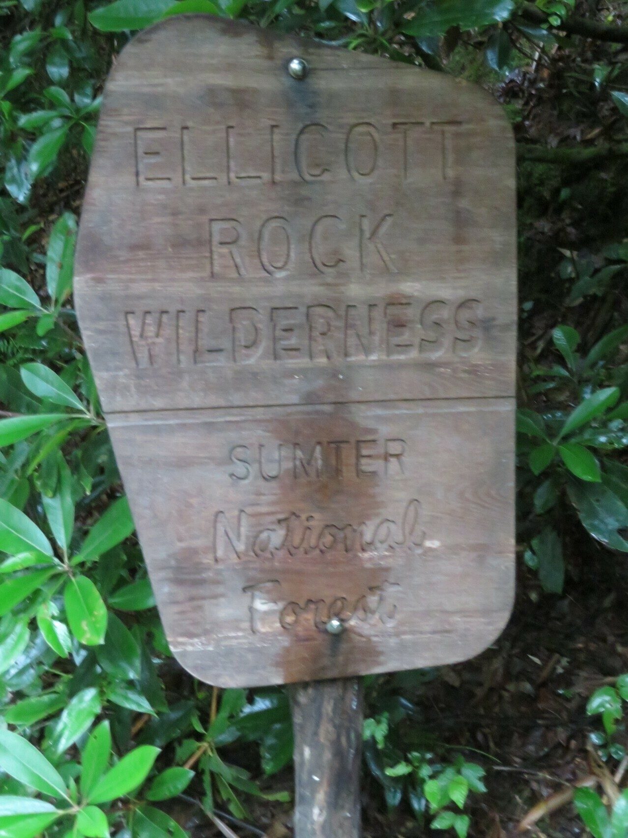 National Forest Sign for Ellicott Rock Wilderness