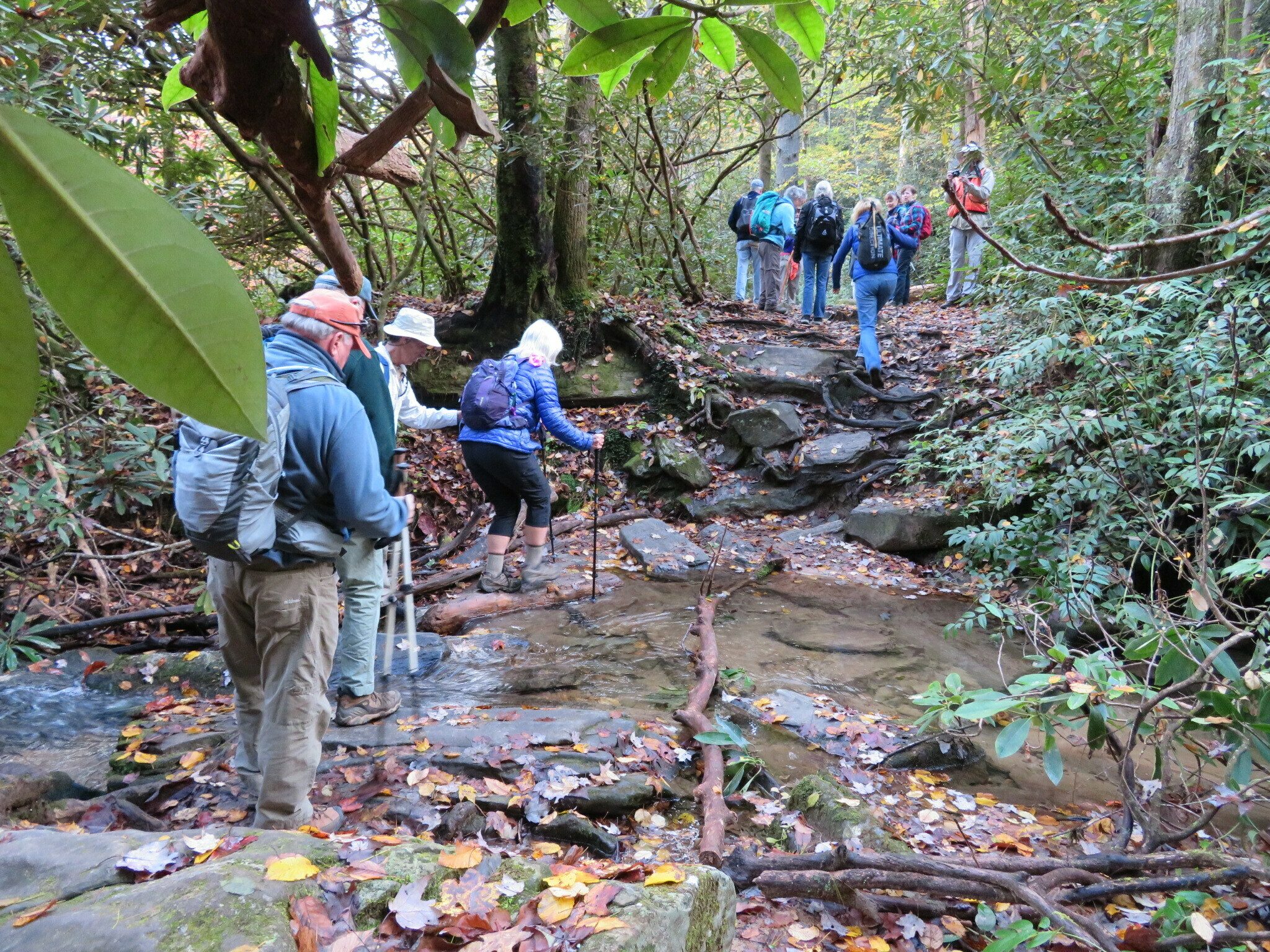 We did have to cross three main tributaries into the Chattooga River.  This was the first . . . not too bad.