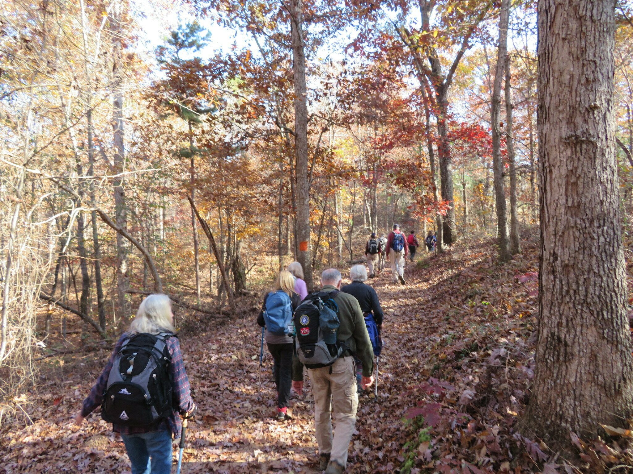 Generally wide trails.