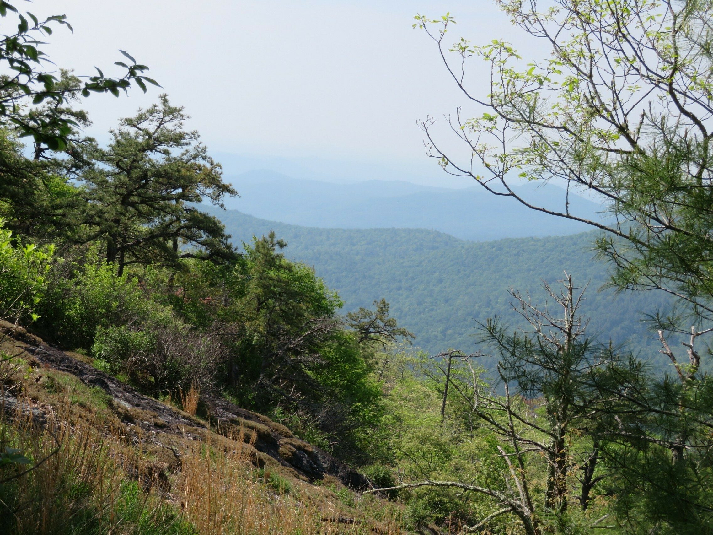 View to the southwest from approach to Scaly Mountain