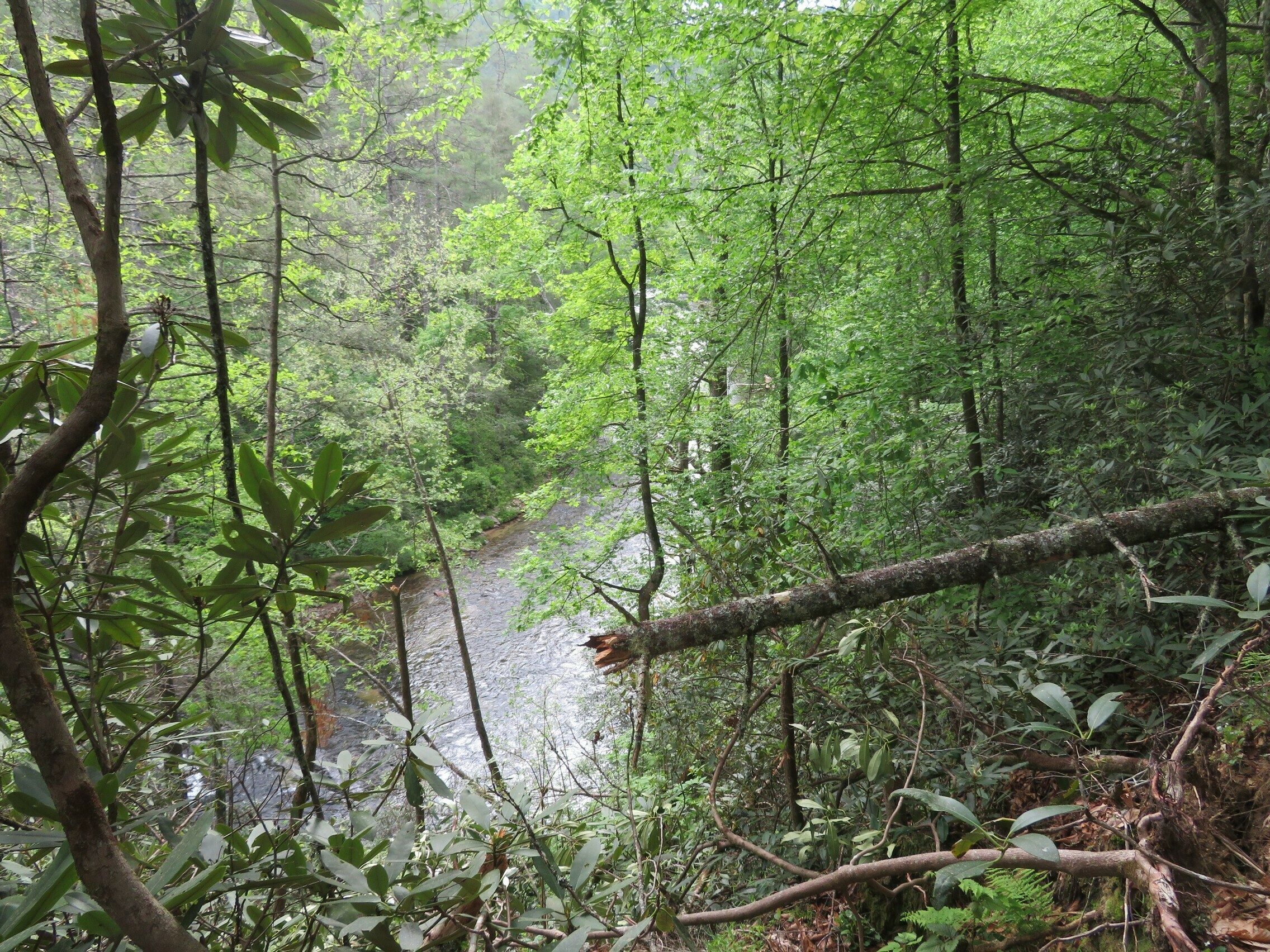 View of the Chattooga River