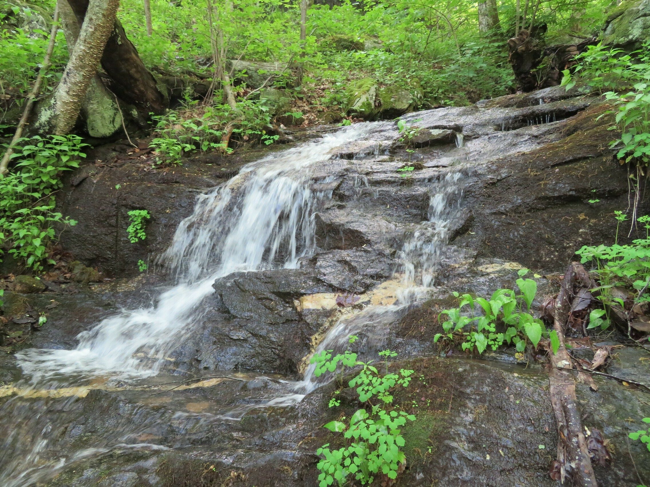 Pretty falls along the first part of the Coosa Backcountry Trail