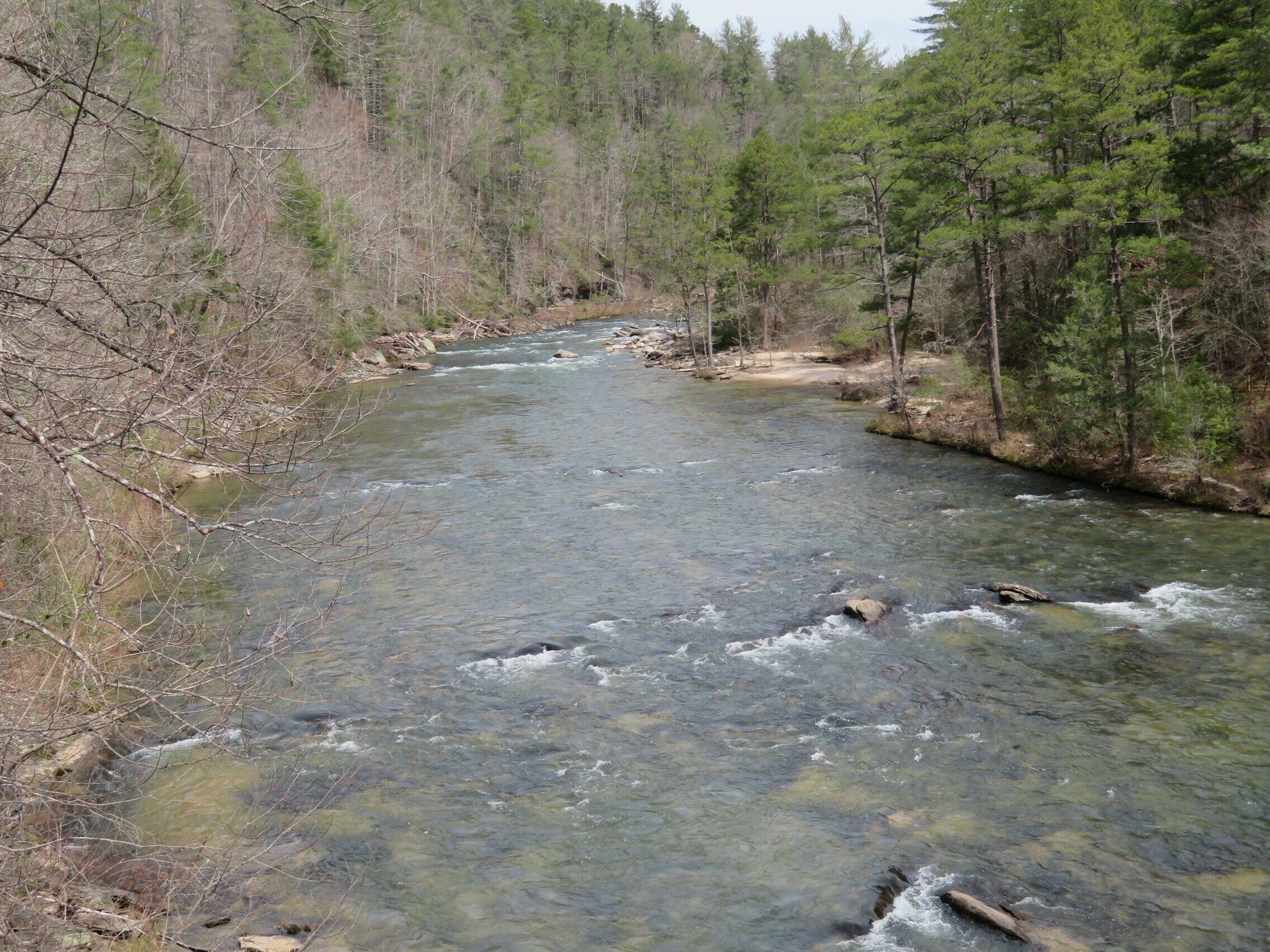 Upstream view of the Chattooga River on return path to trailhead.