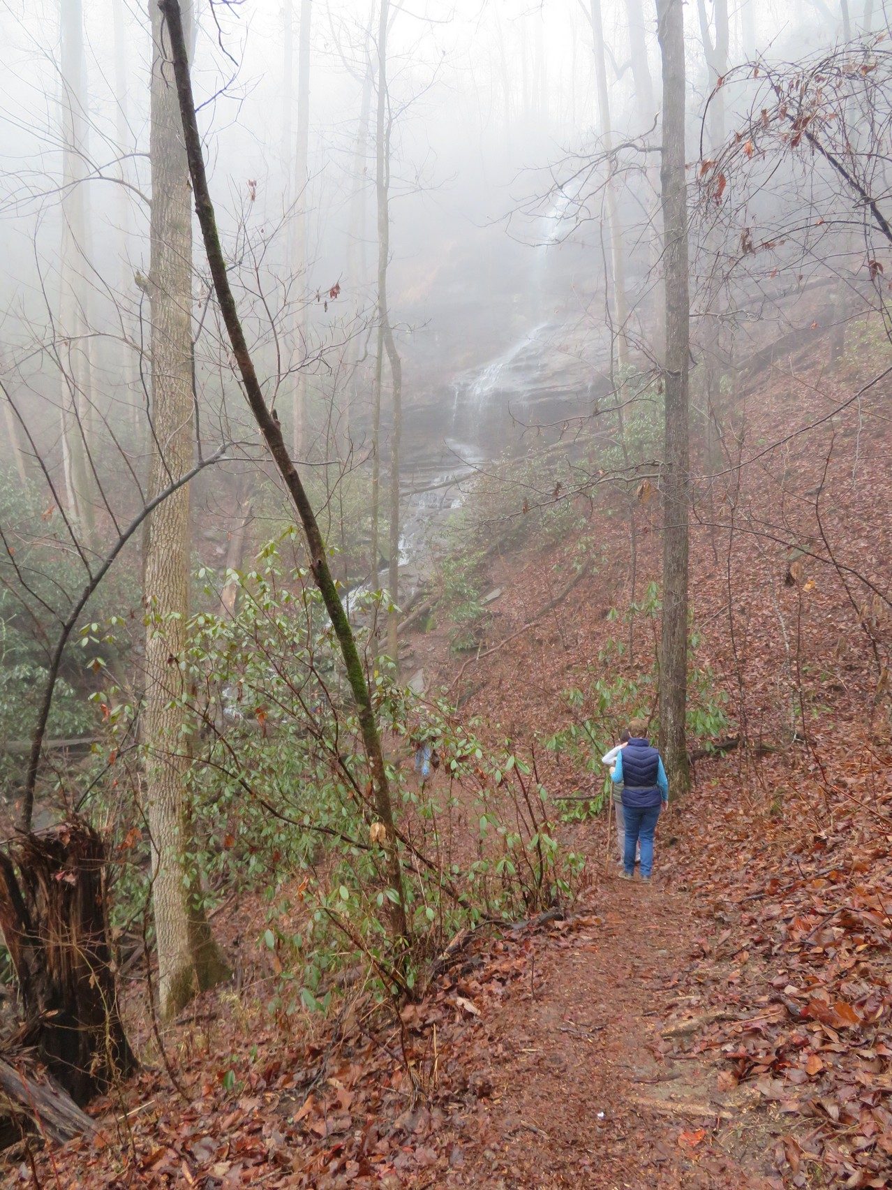 Hidden Falls just coming into view through the fog.