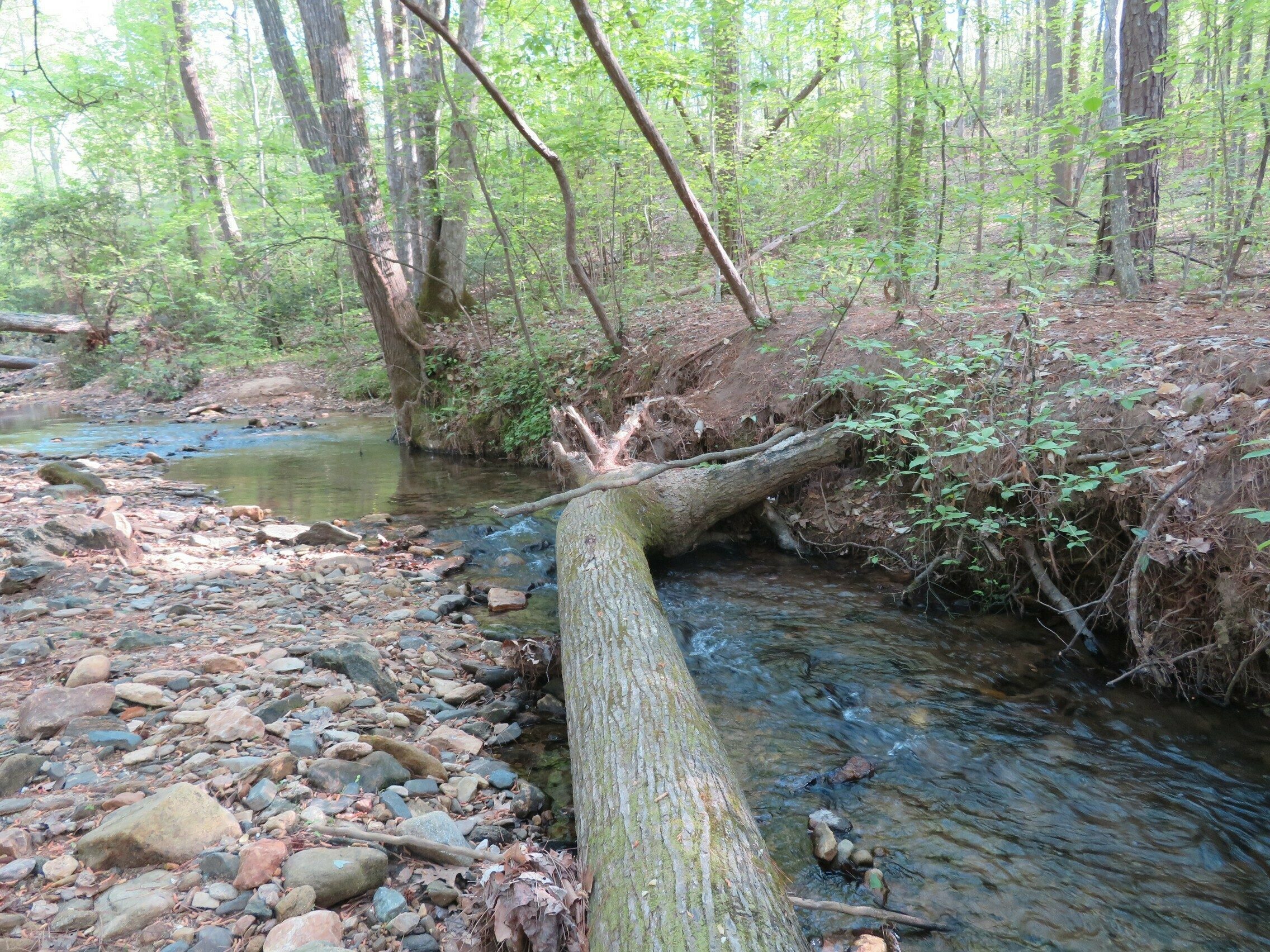 First creek crossing wasn't so bad!
